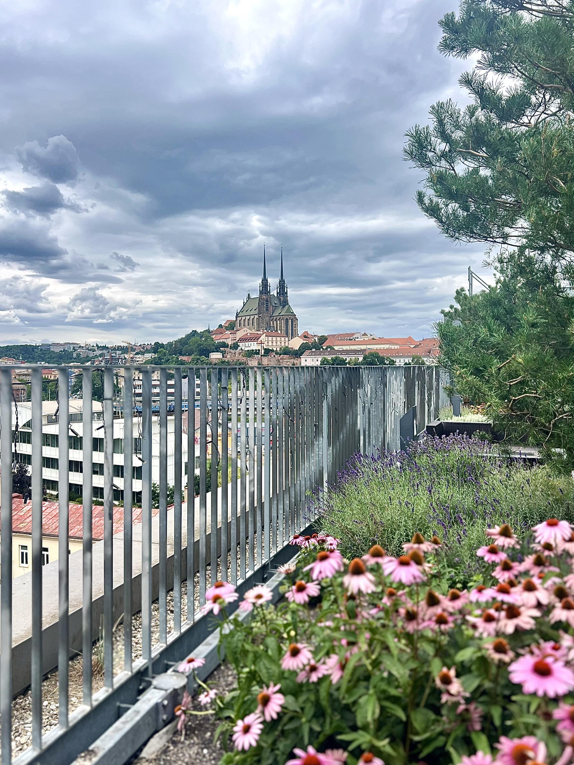 Ing. Tomáš Rychetský, EFP | Finanční poradce foto 3