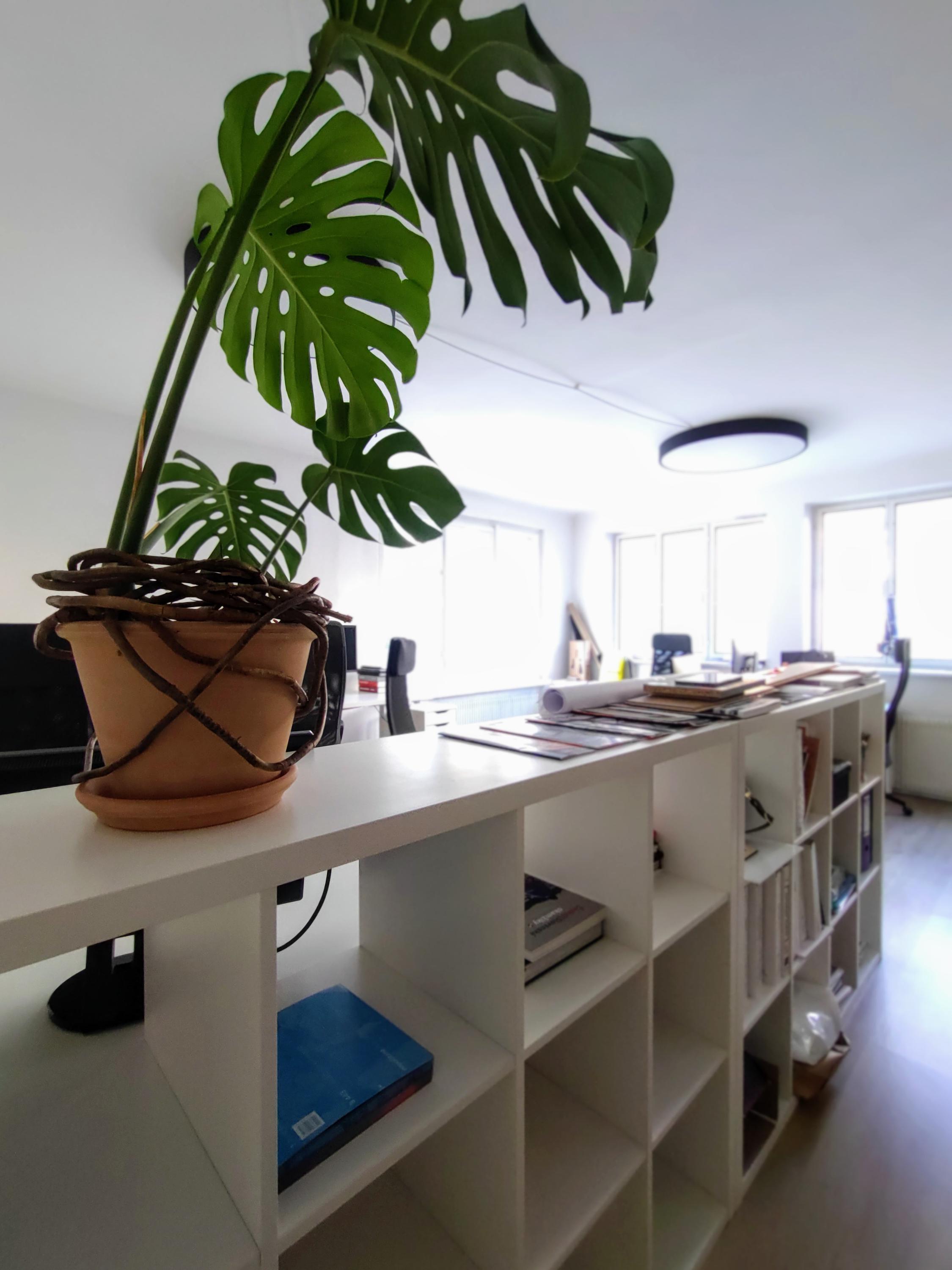 ArchiHUB foto 5
