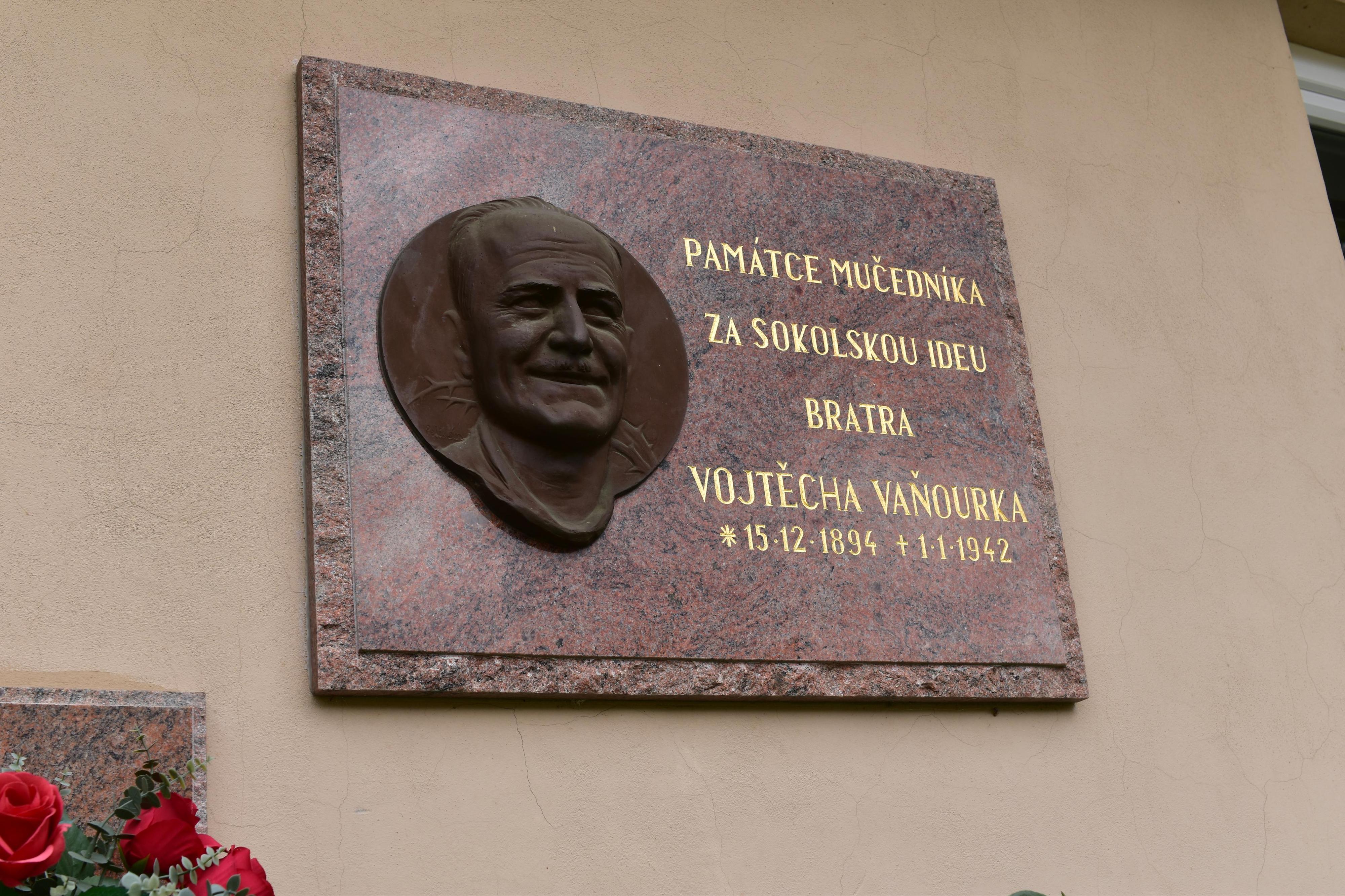 Tělocvičná jednota Sokol Náměšť na Hané foto 5