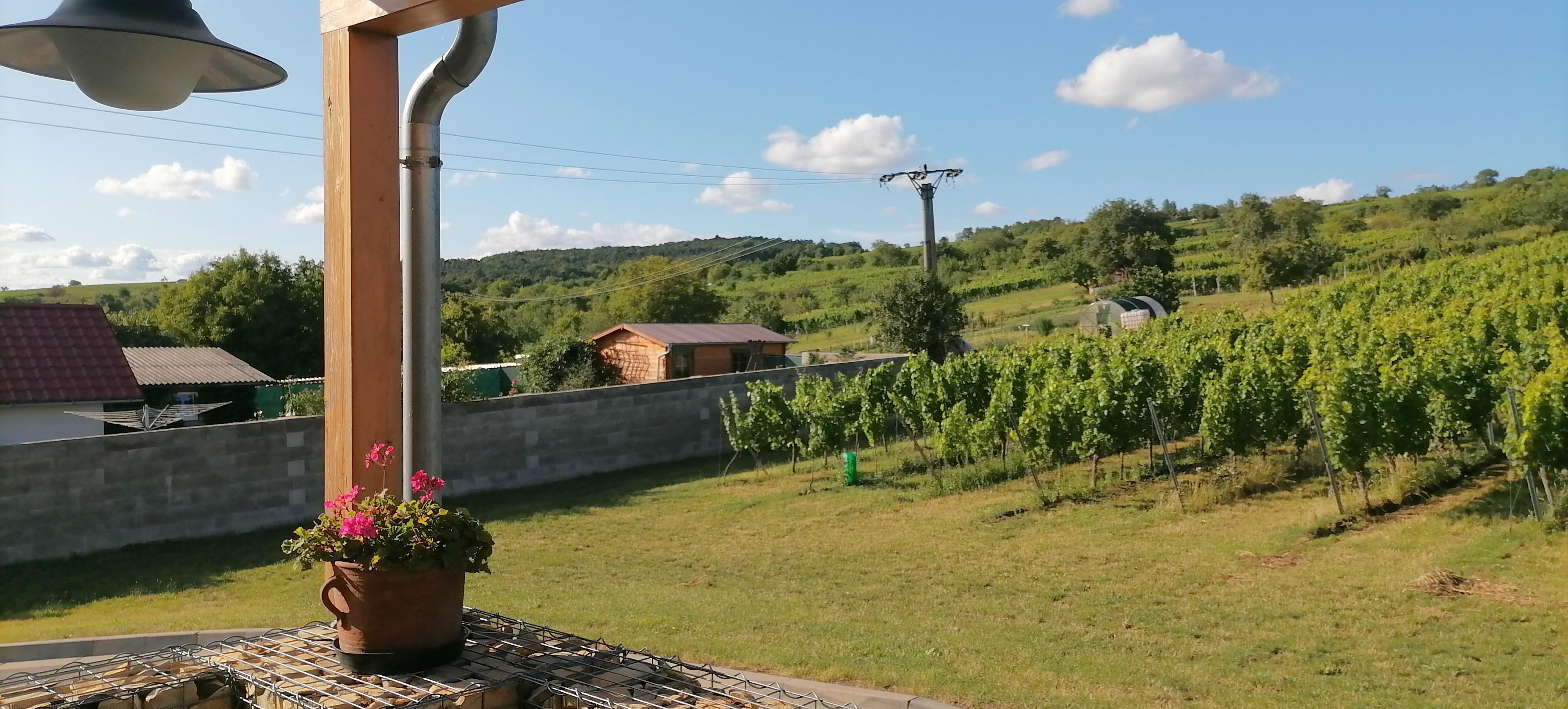 Vinařství Vyskočil foto 2