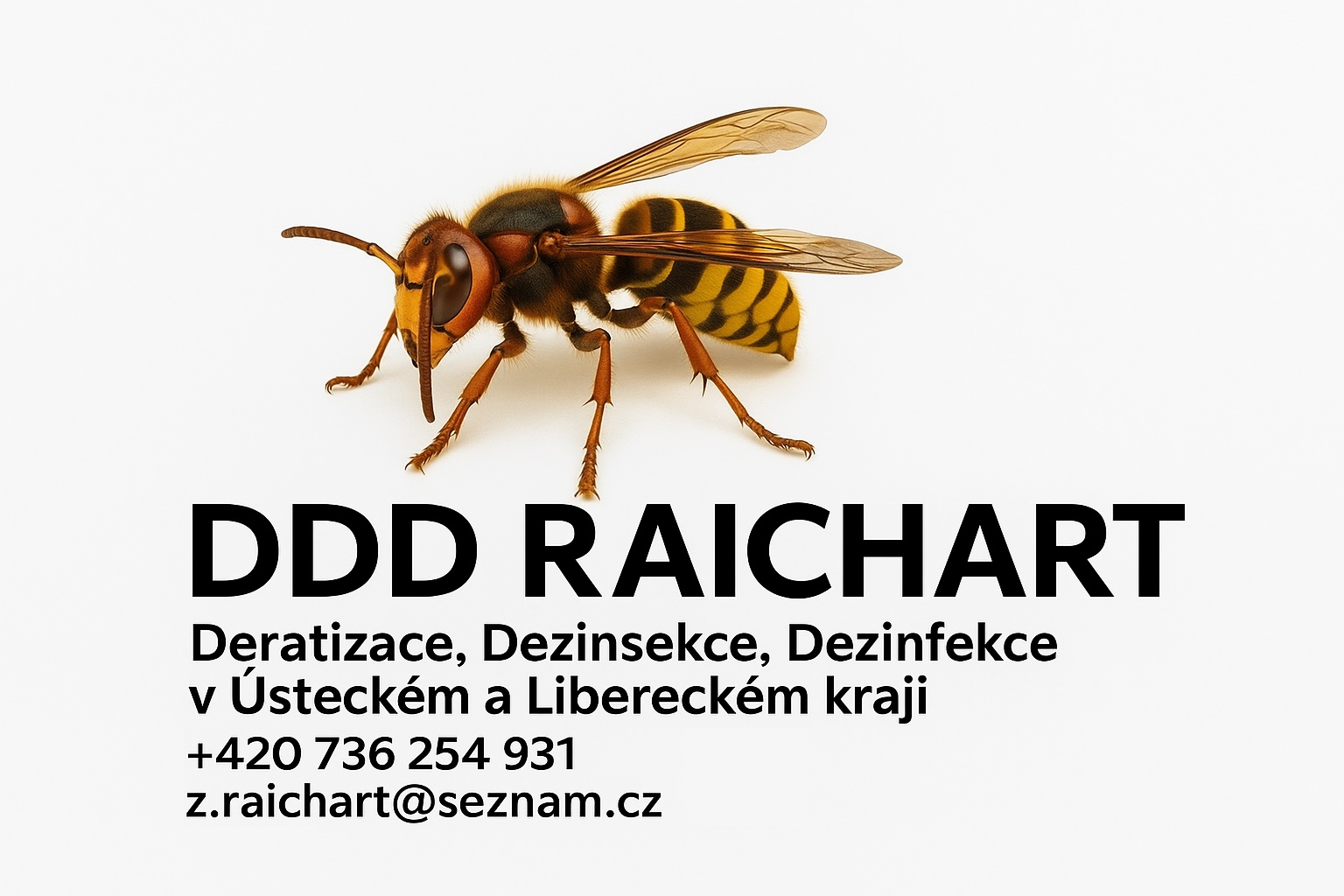 DDD Zbyněk Raichart foto 4