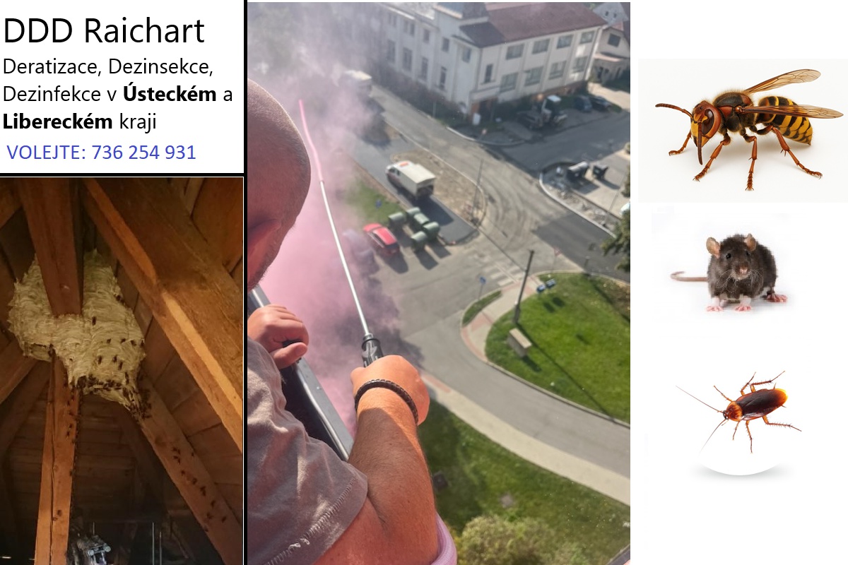 Deratizace Raichart foto 1