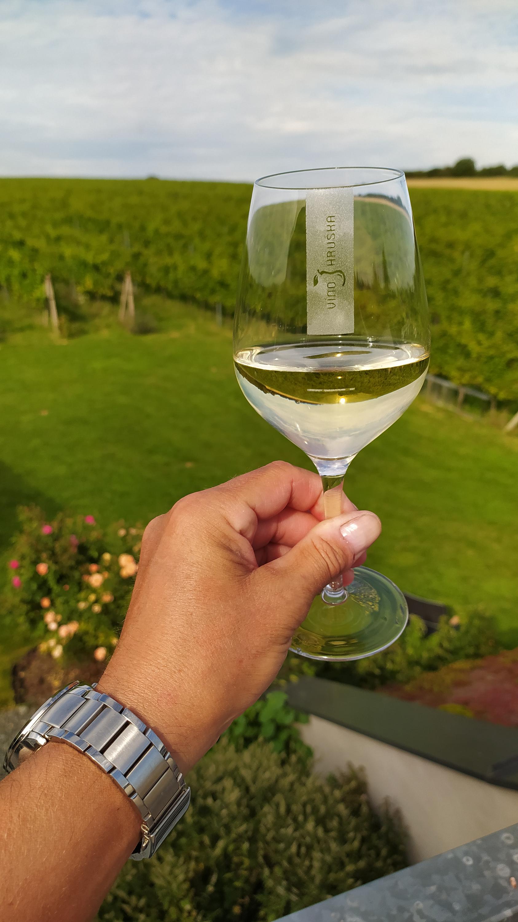 Velehradské vinice foto 6