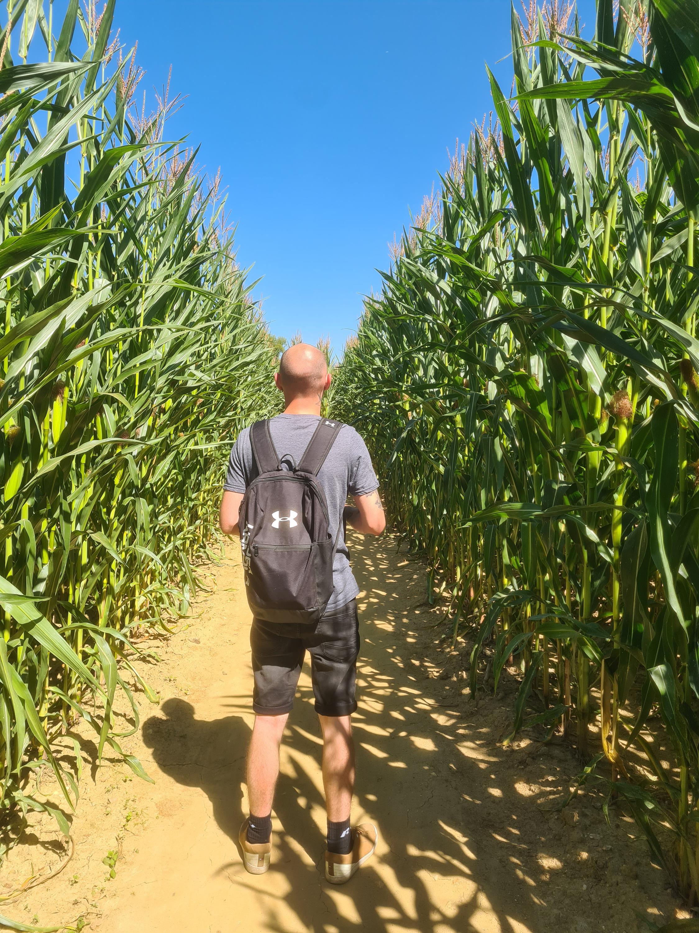 Kukuřičáci – Obří kukuřičné bludiště Cheb foto 5