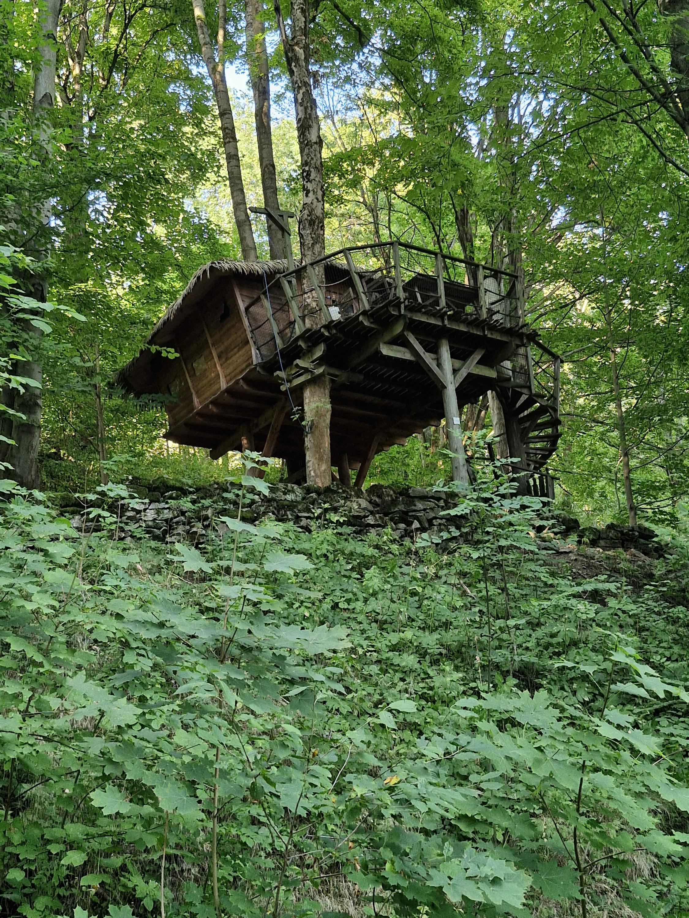 Treehouse pod Ještědem foto 6