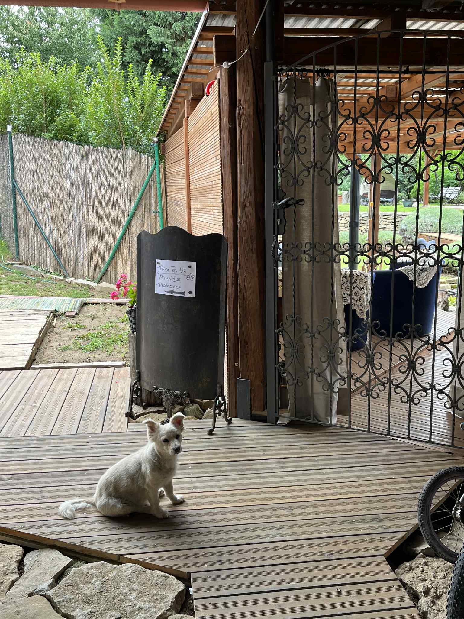 Jakub Chylek - masér foto 2