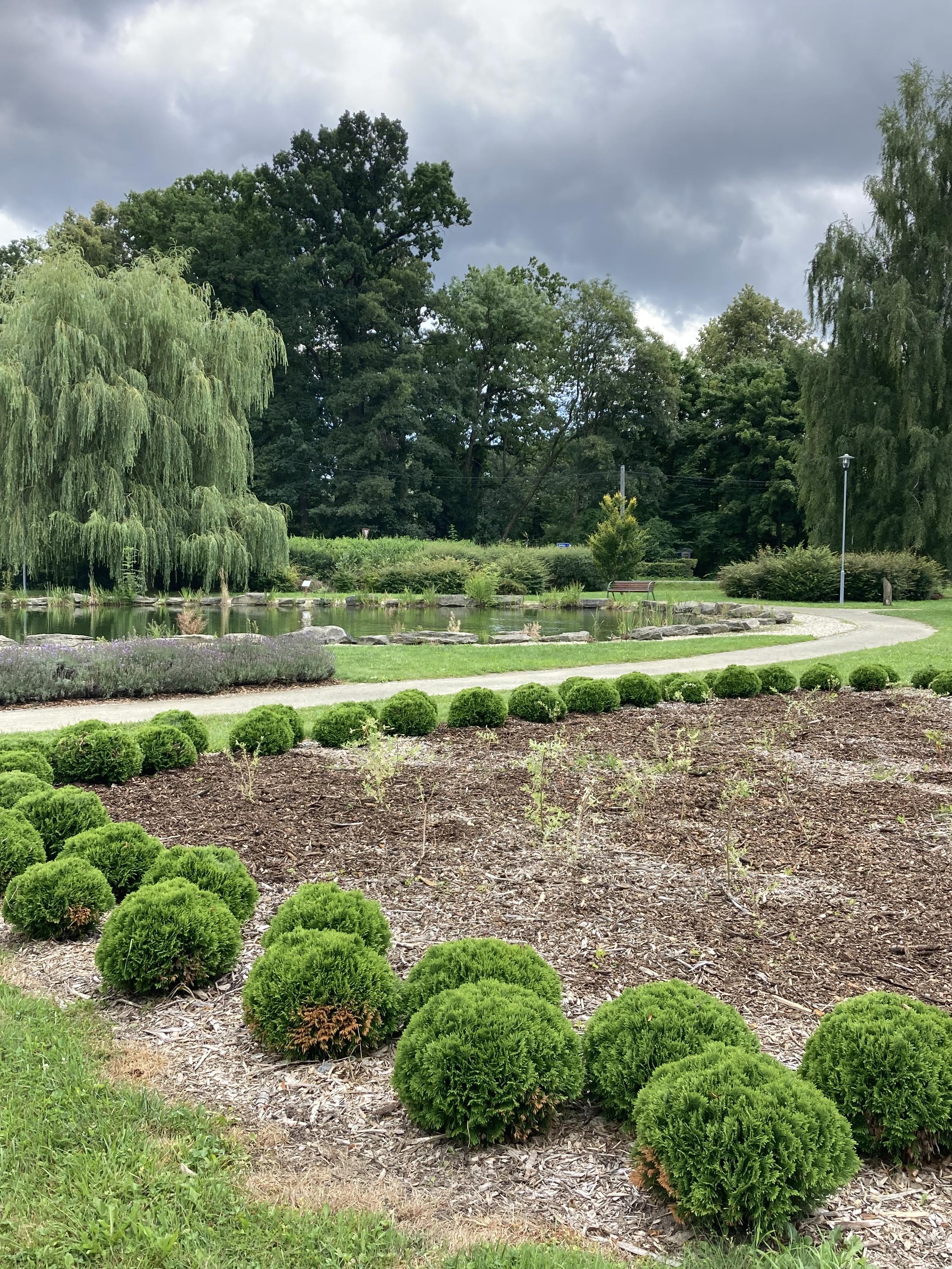 Areál zdraví foto 2