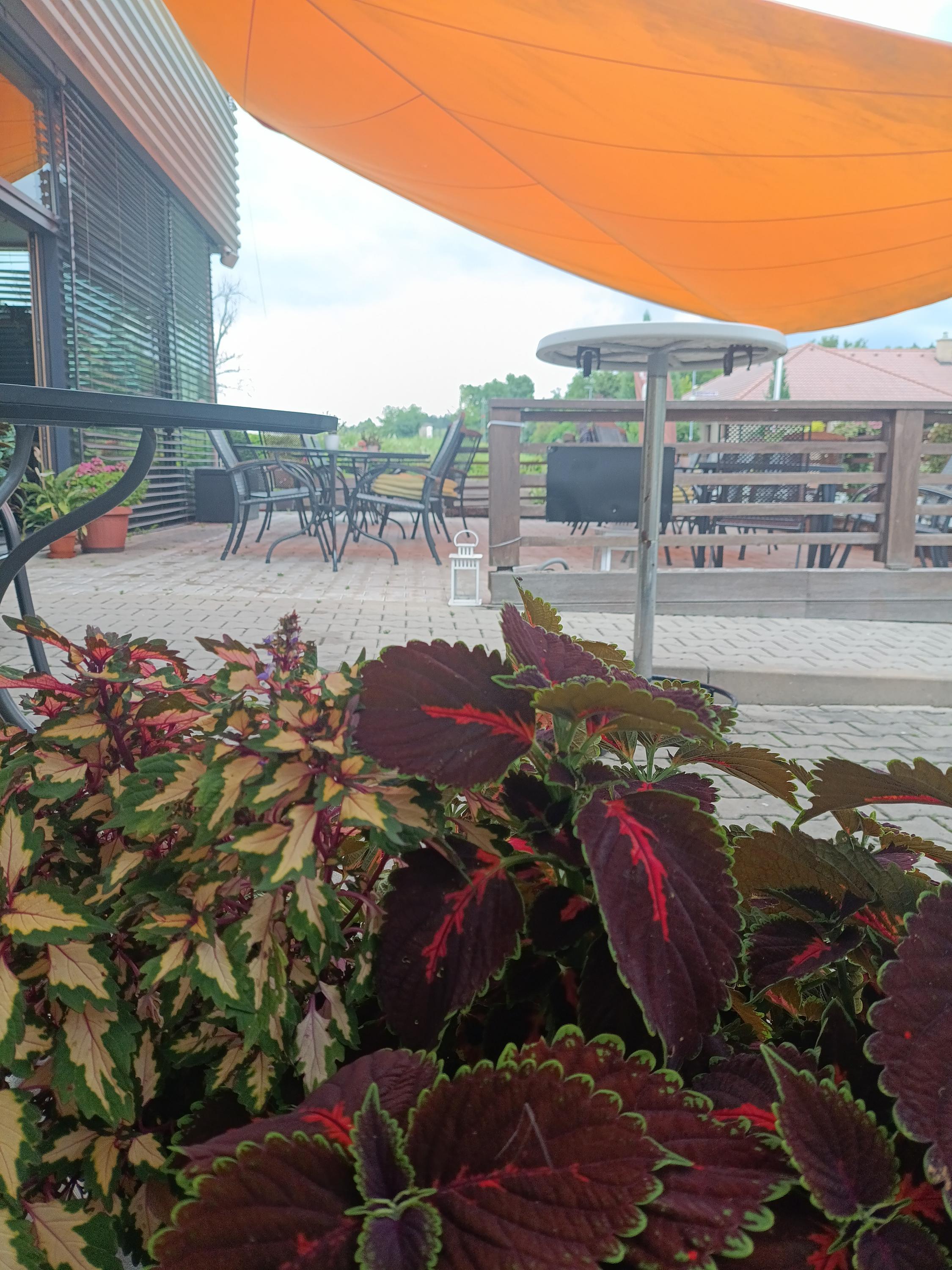 Restaurace U Kalvárie foto 5