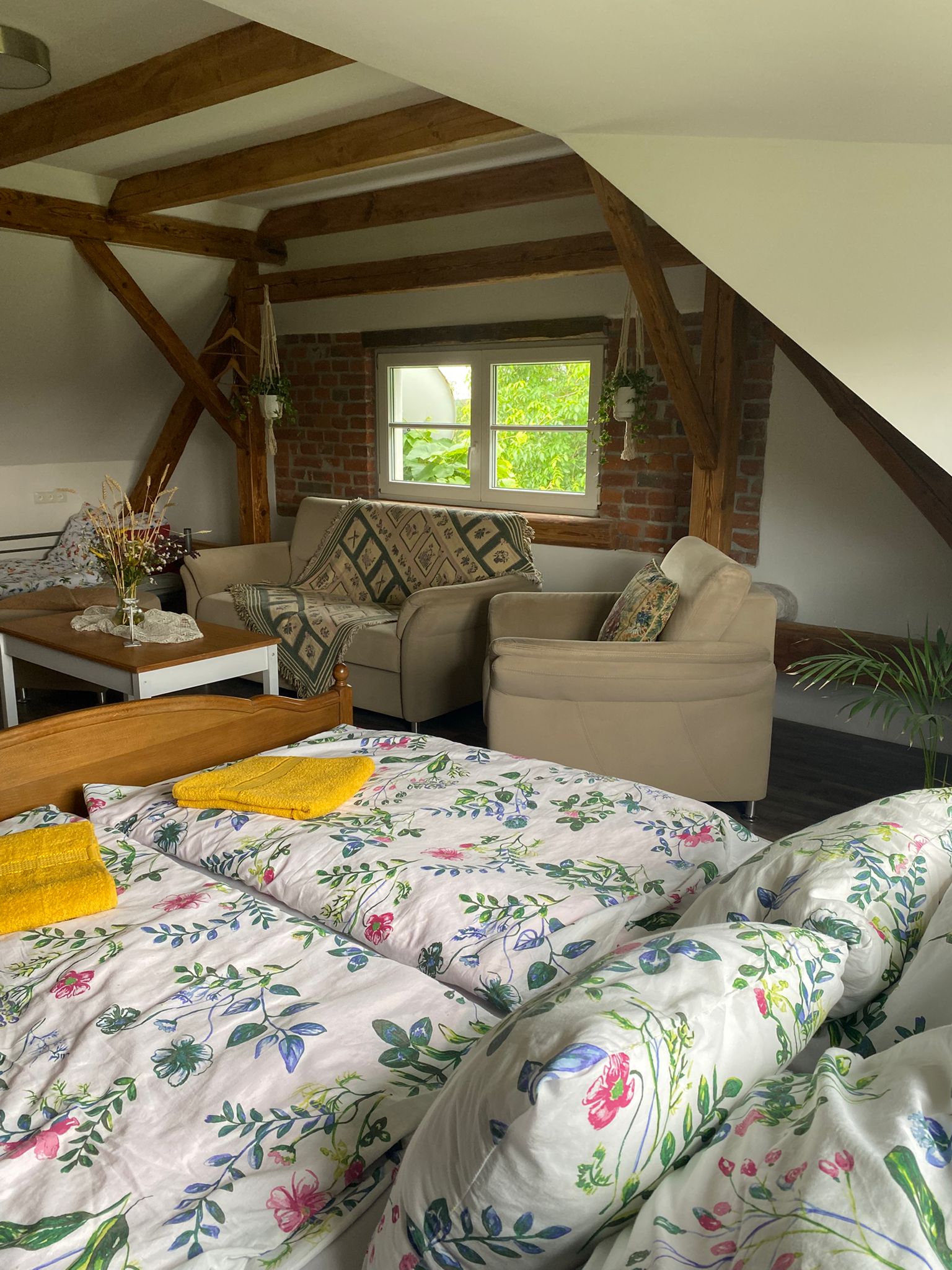 Ubytování na Farmě Humňany foto 2