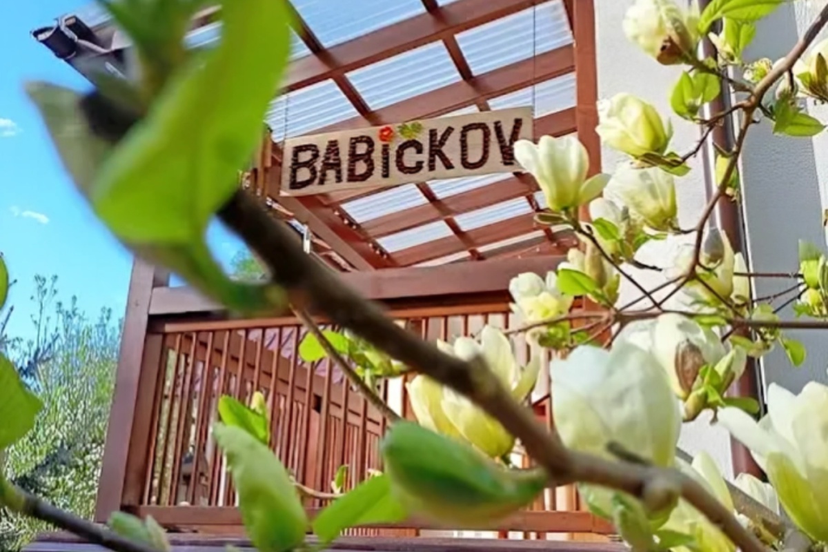 Babičkov foto 1