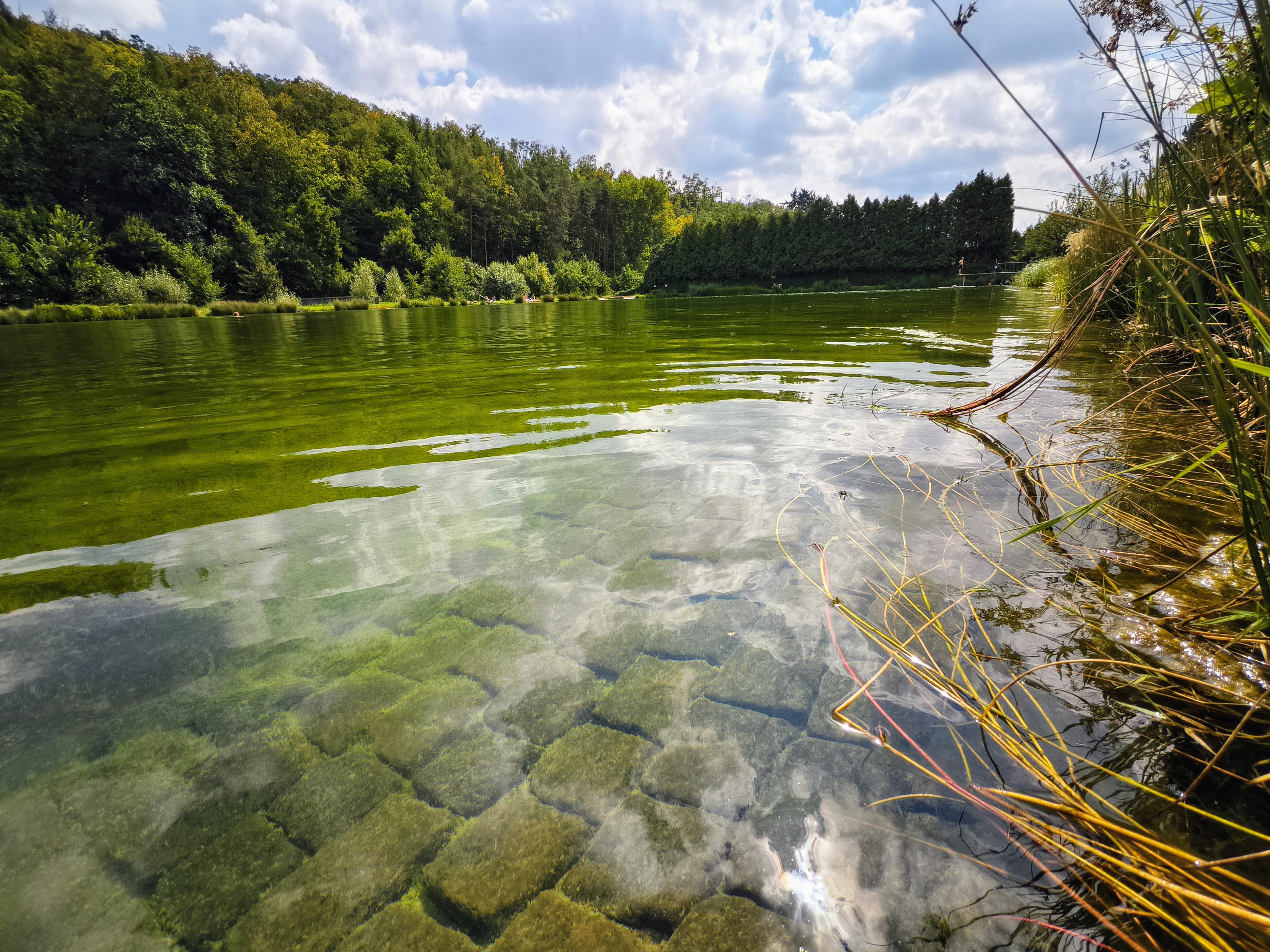 Koupaliště Říčany foto 4