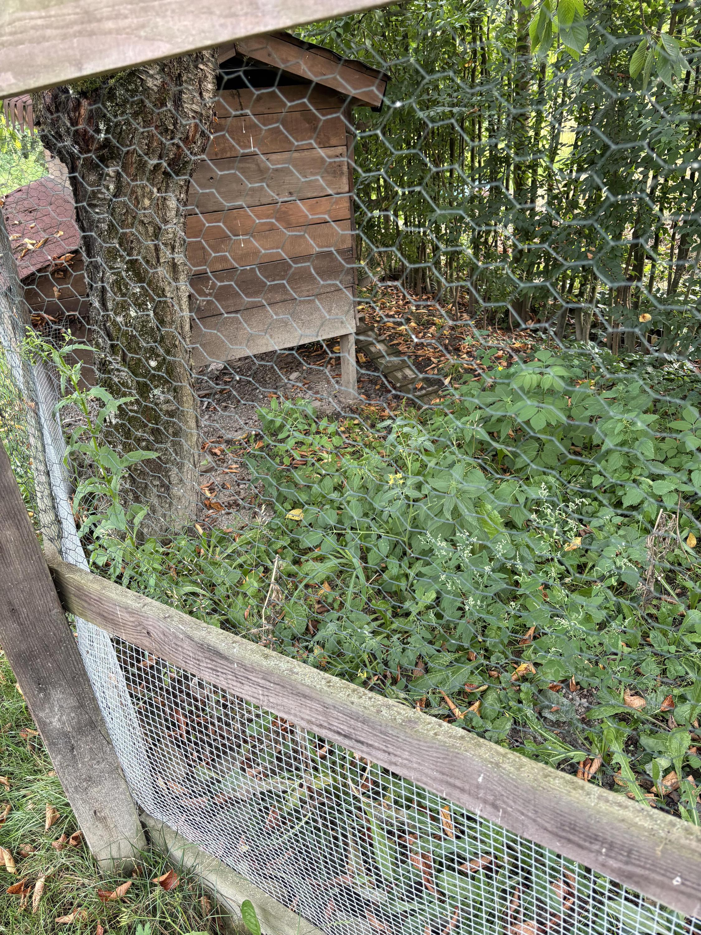 Klidný Kout glamping foto 2