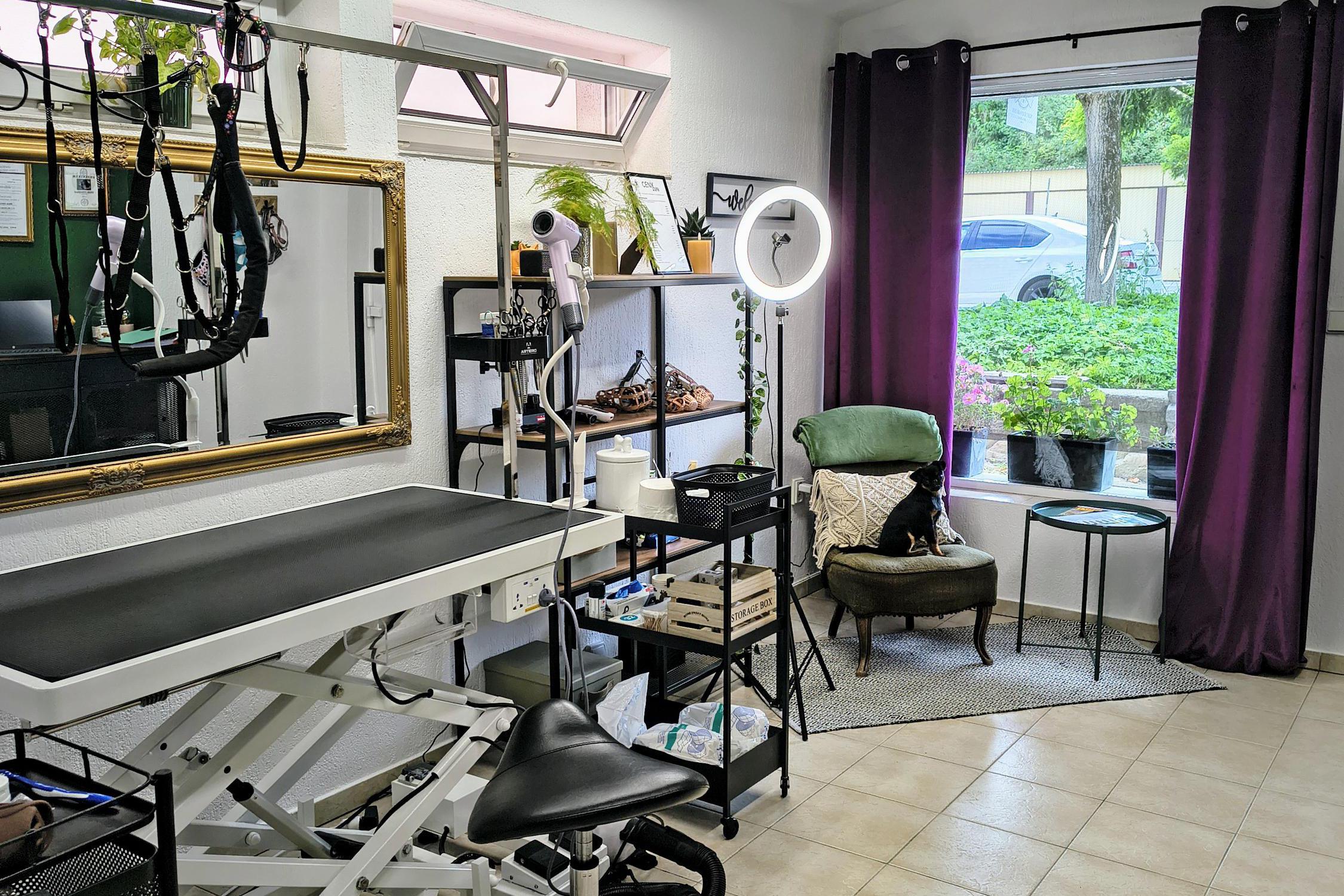 Dog Barber Shop - Nikola Dittrichová