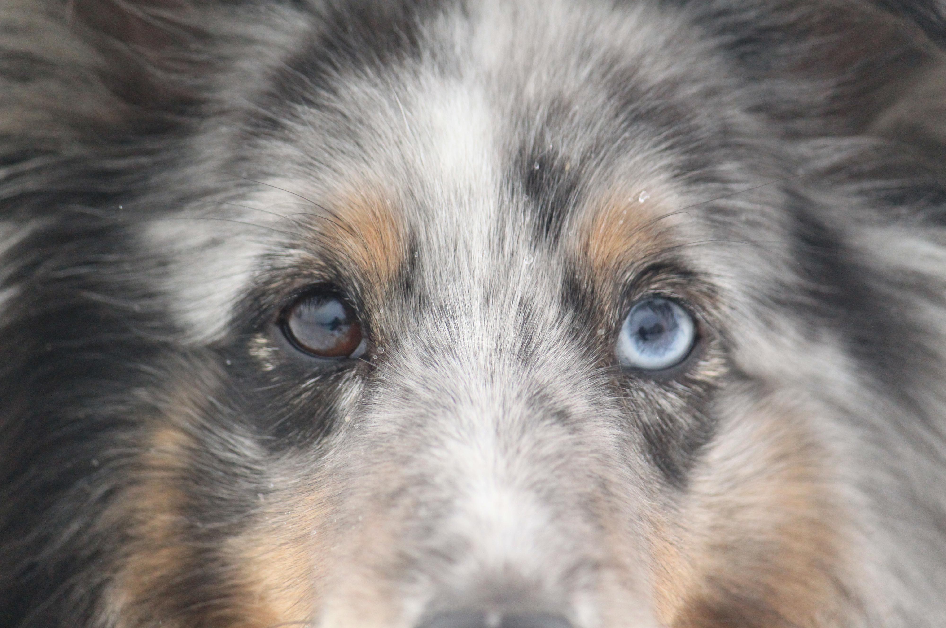 Veterina RadixVet s.r.o.