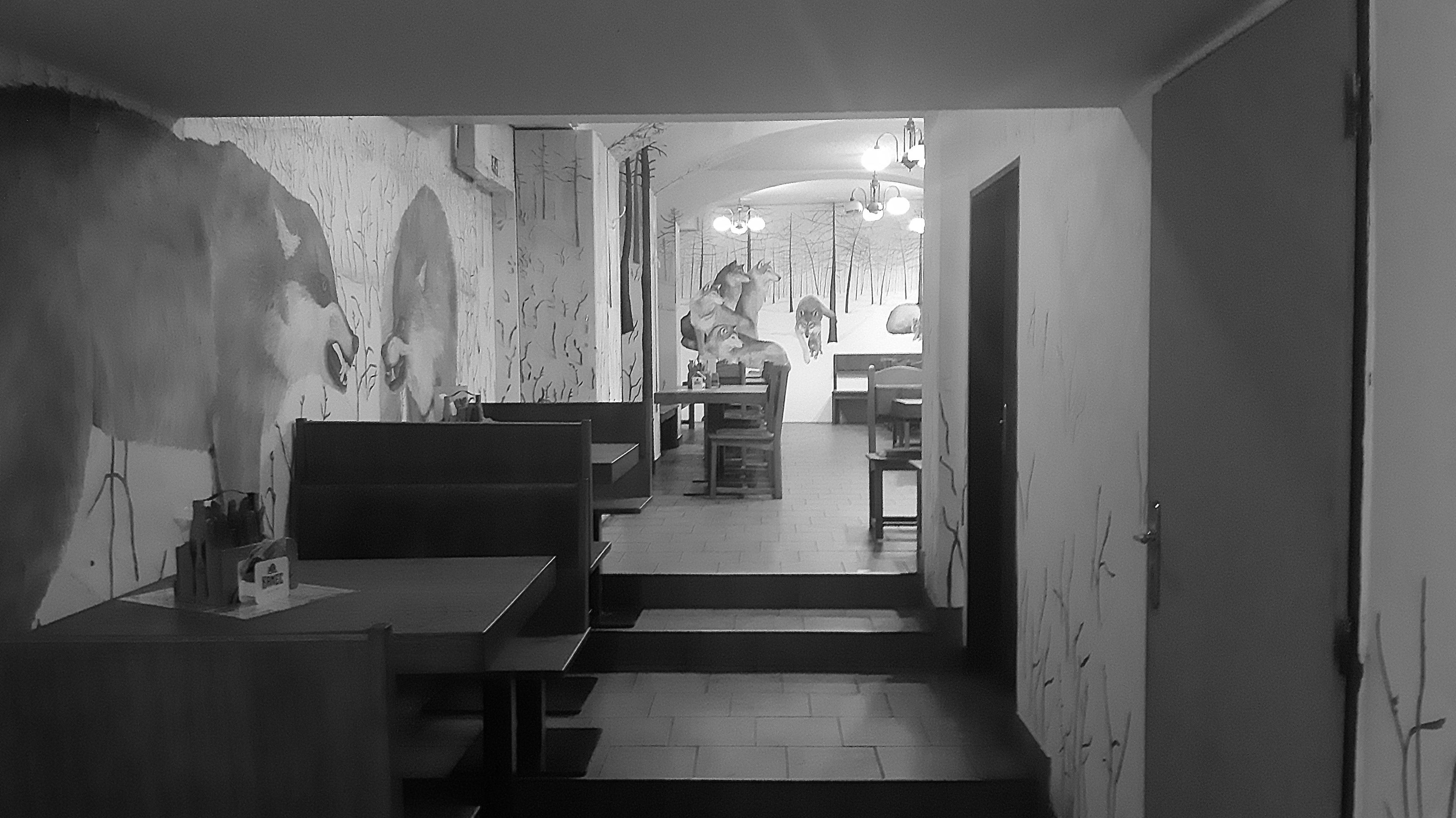 Steakový a pivní bar U Dřevěného vlka foto 5