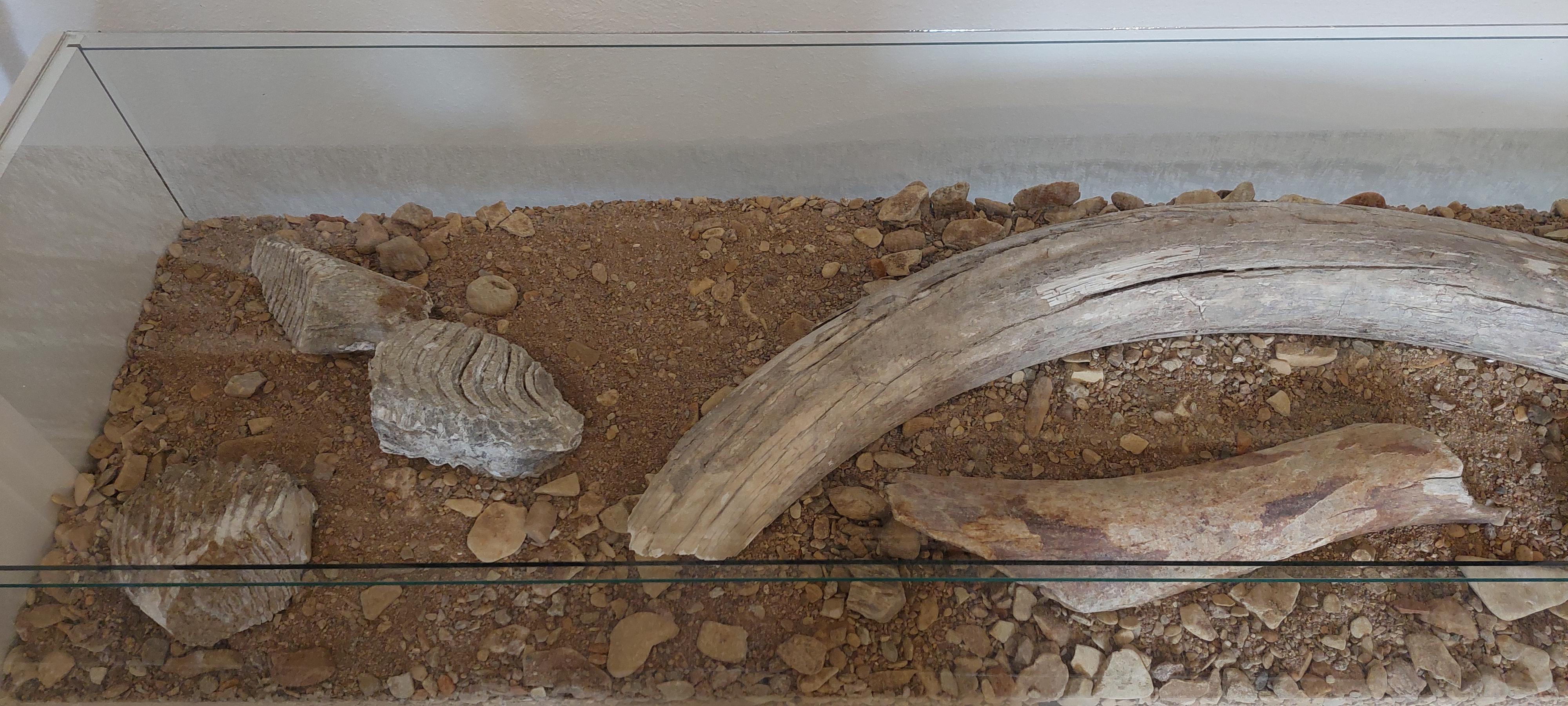 Orlické muzeum Choceň foto 6