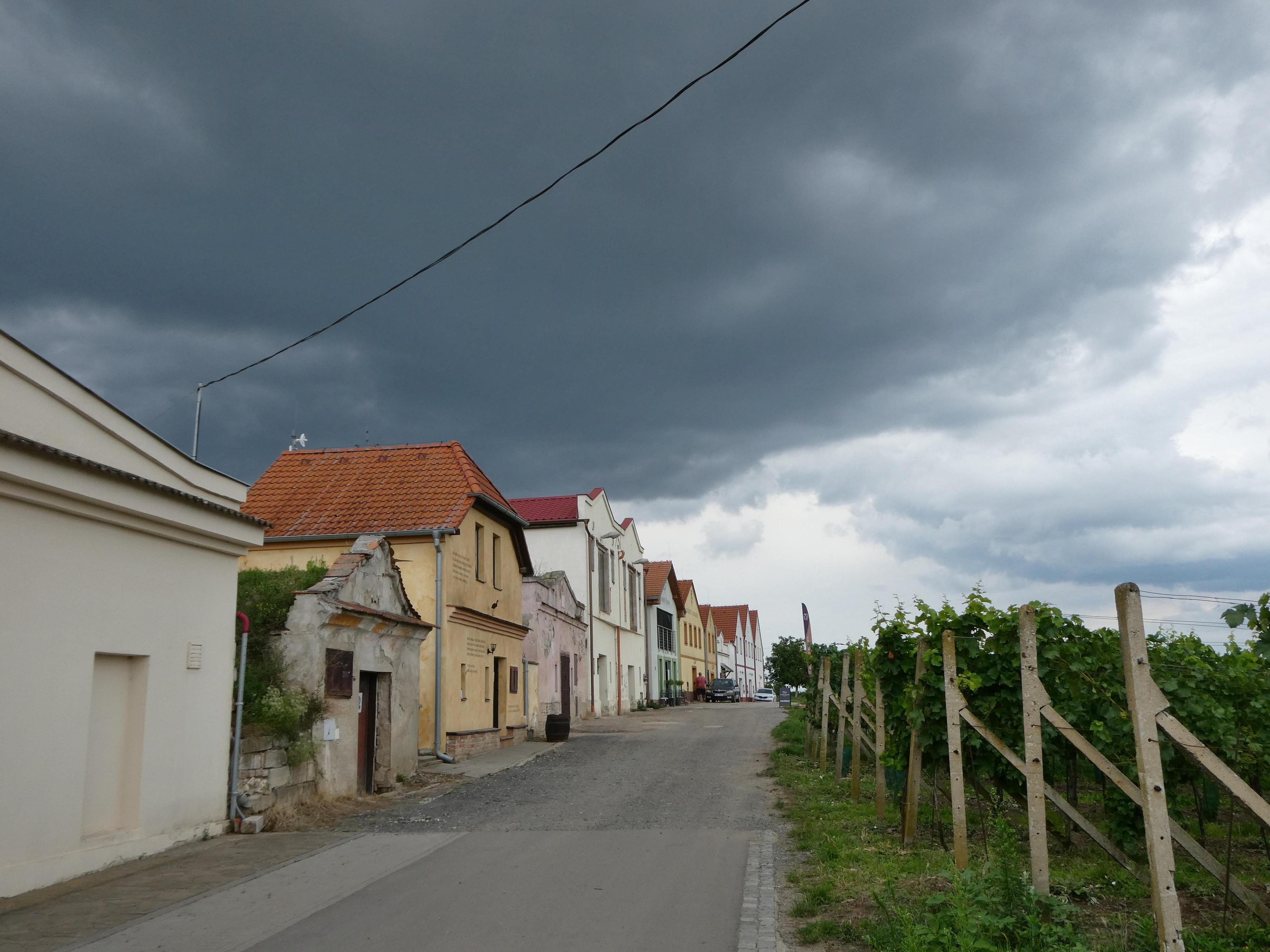 Vinařství Hamerník foto 2