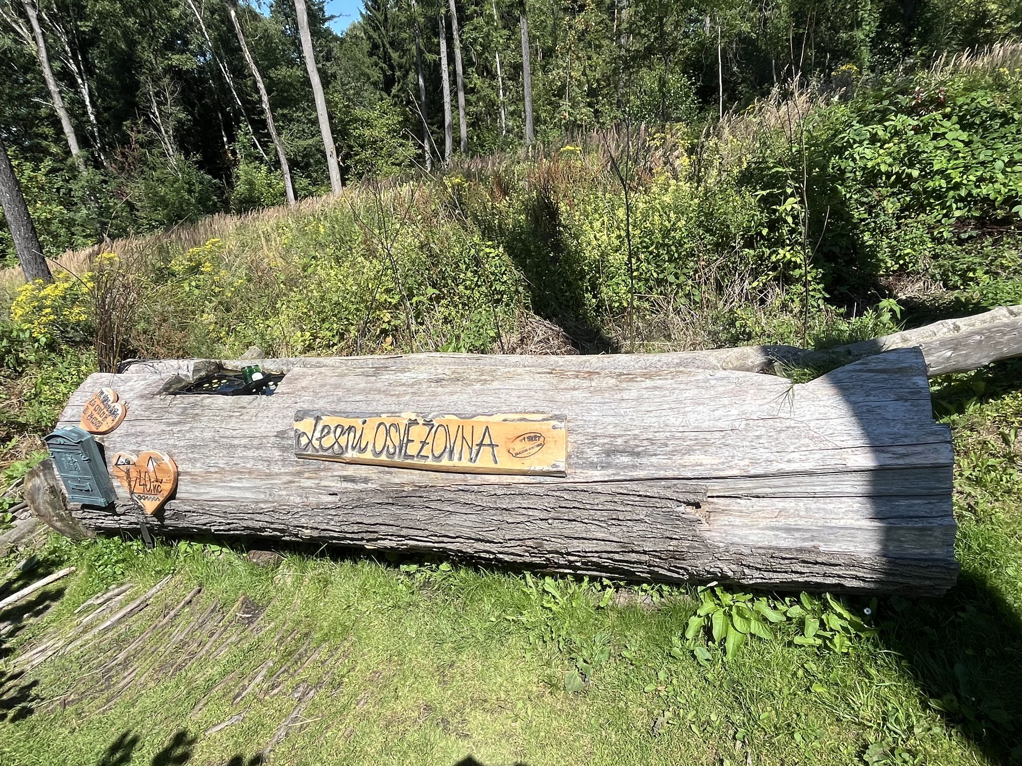 Lesní Osvěžovna foto 1