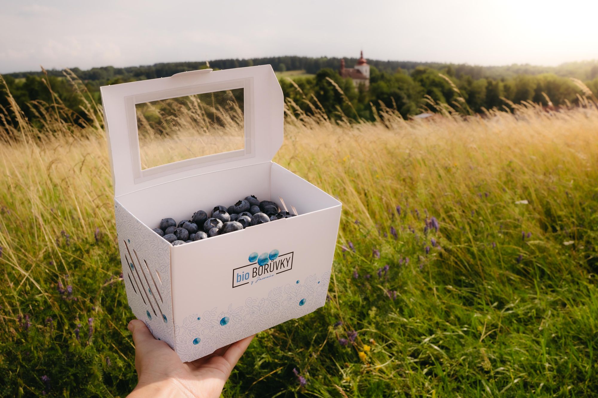 Bio Borůvky z Javornice foto 4