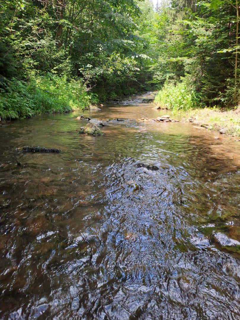 Bezkempu u chajdy pod Radhoštěm foto 5