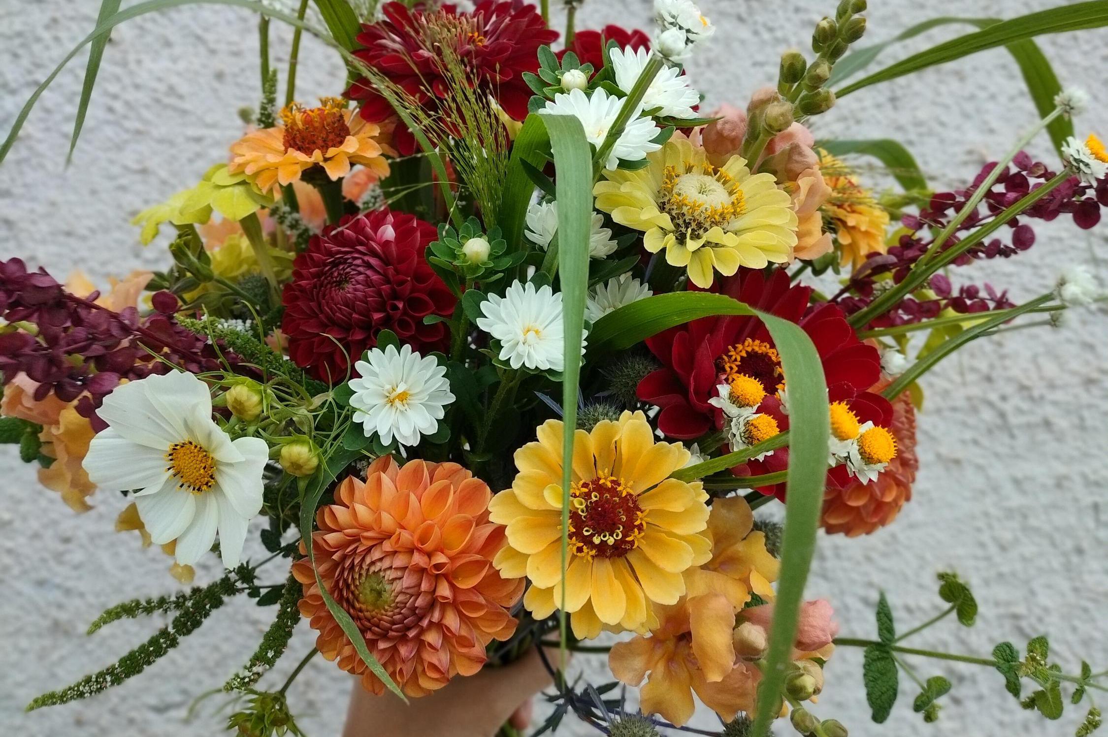 To to KVETE - Ing. Kateřina Jonášová