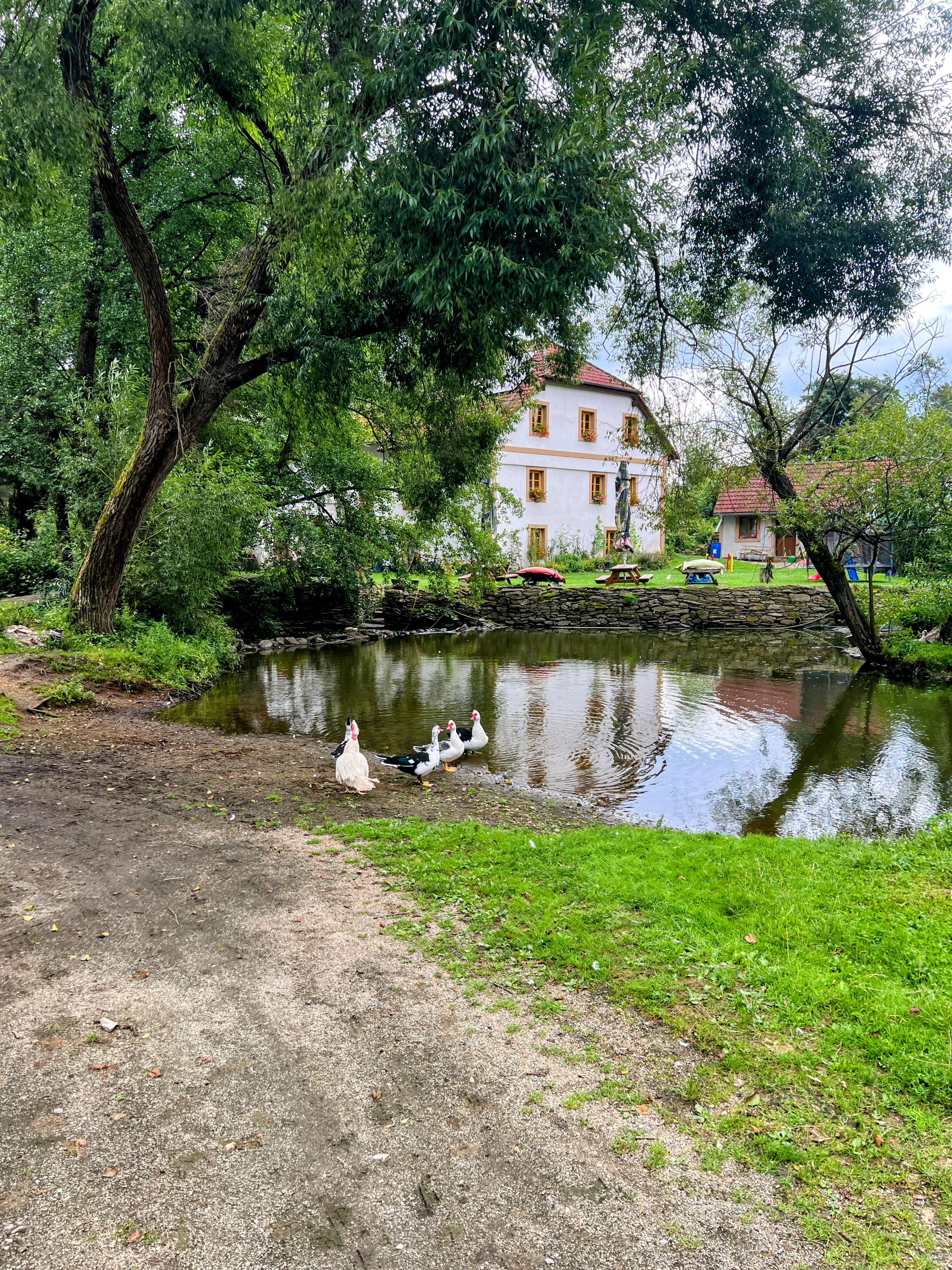 Farma Dolejší mlýn foto 2