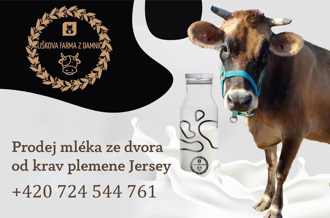 Liškova farma z Damnic foto 1