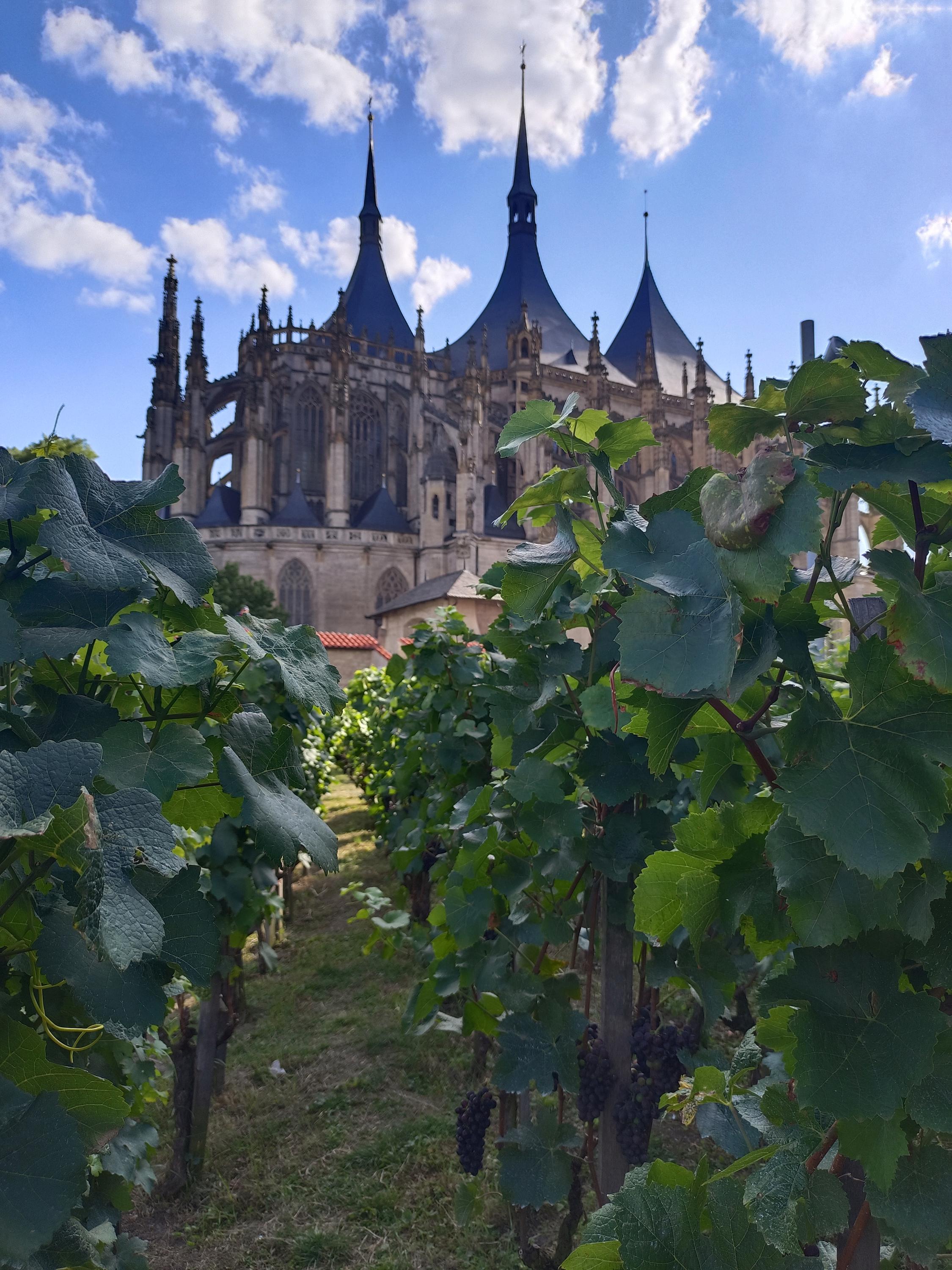 Stánek u kaple Božího těla foto 3