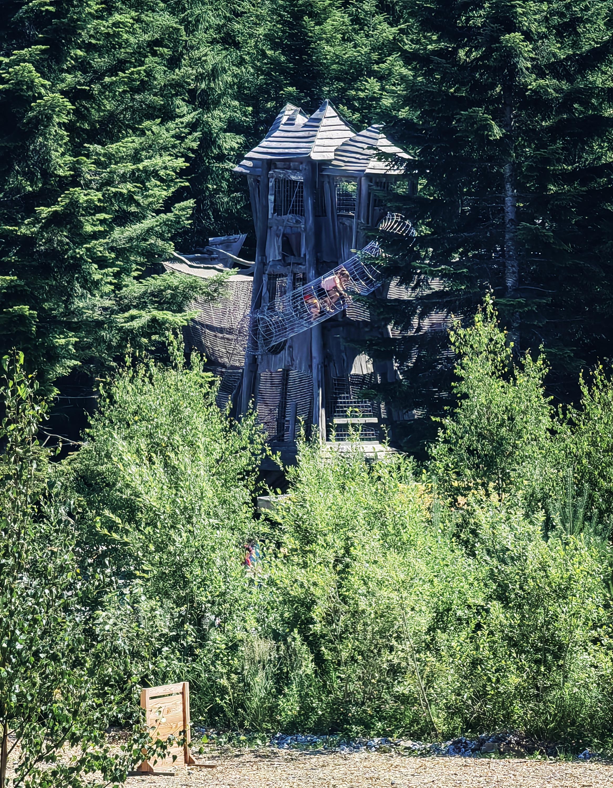 Království lesa Lipno foto 3