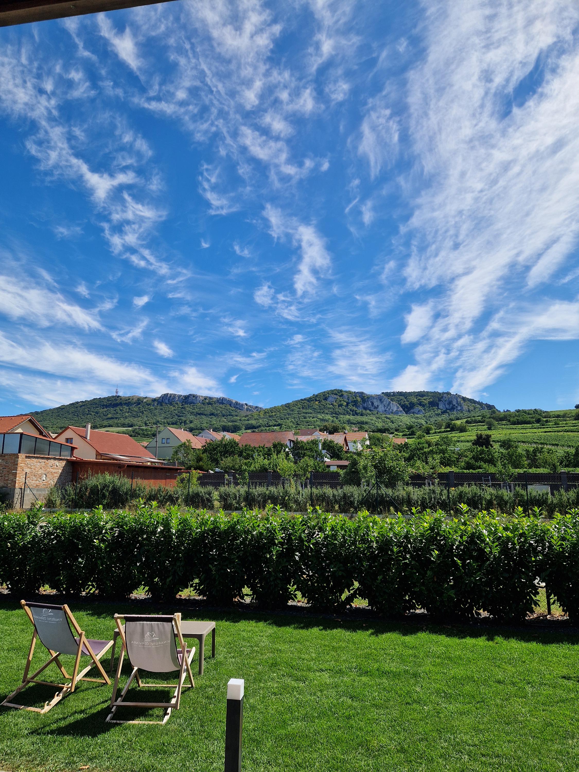 Vinotéka a wine bar Vinařství Červinka foto 4