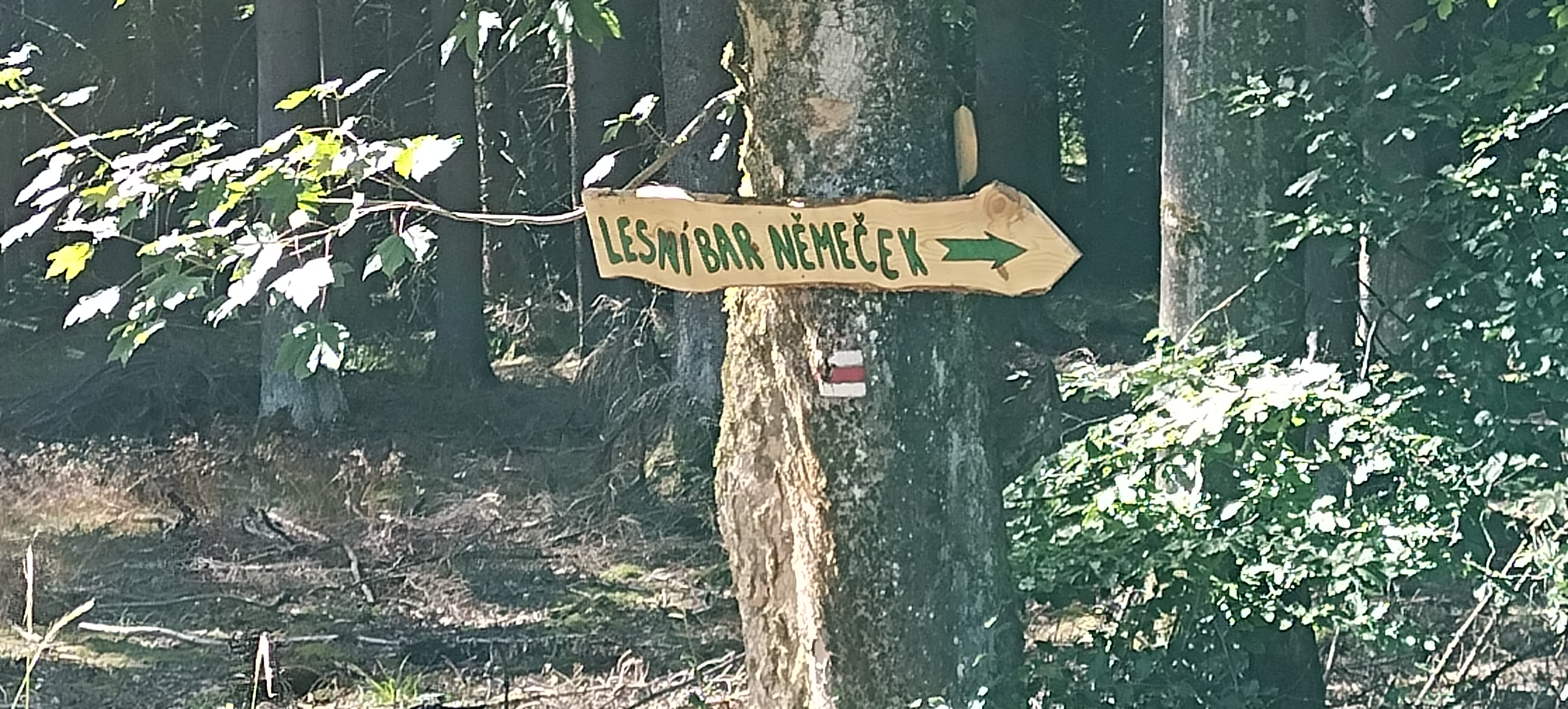 Lesní bar Němeček foto 2