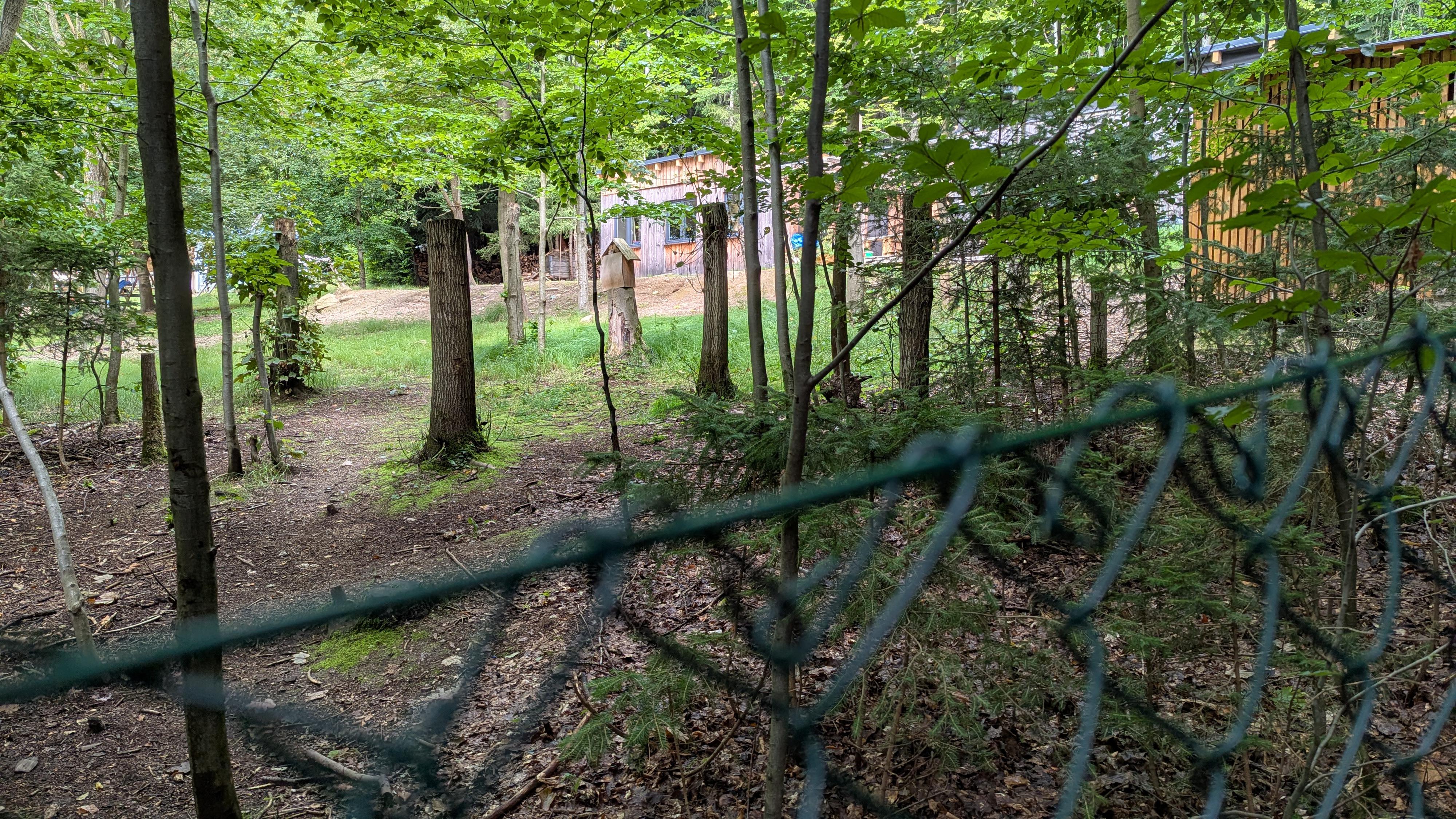 Perníkovka foto 2