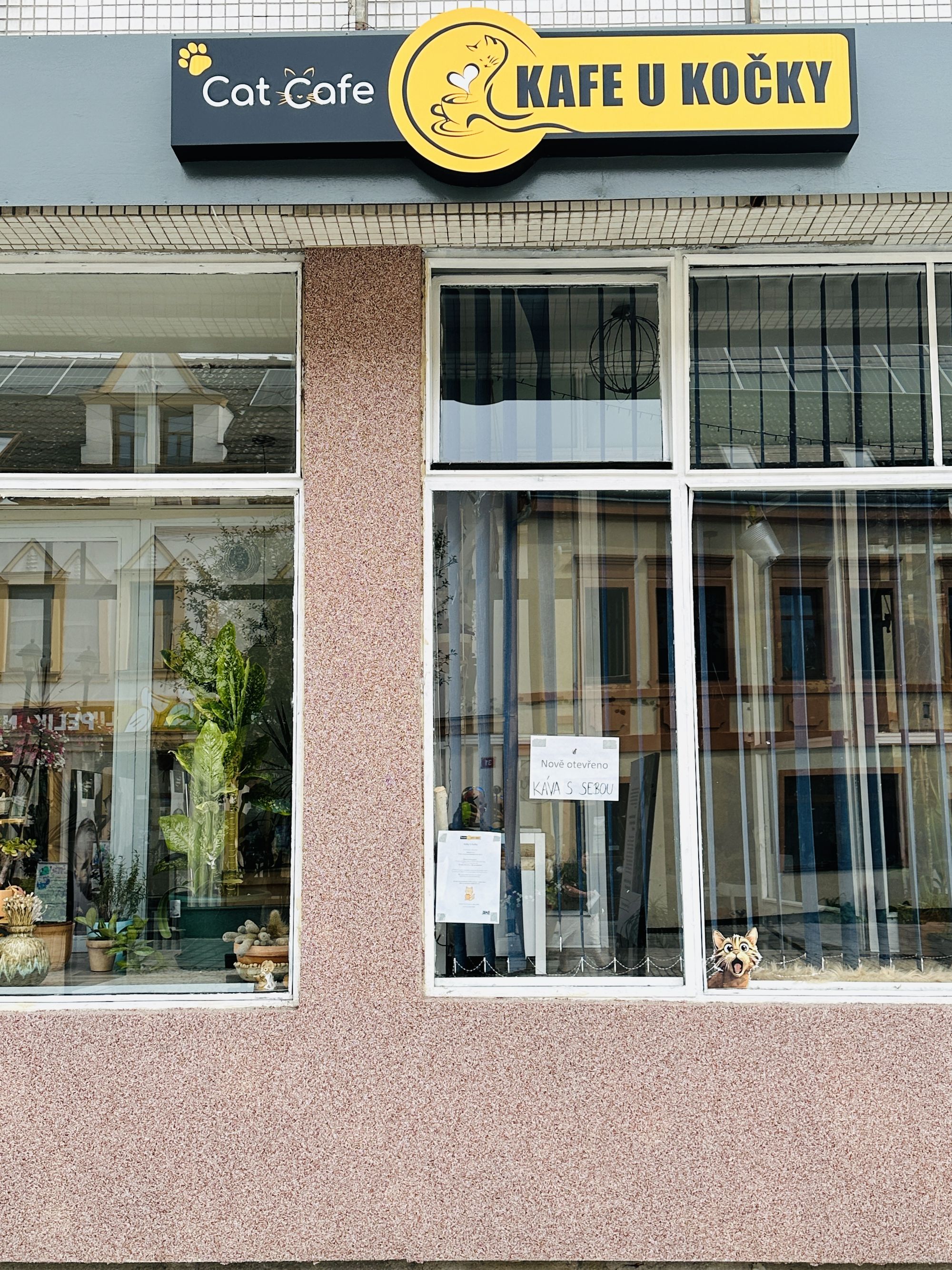 Kafe U Kočky foto 2
