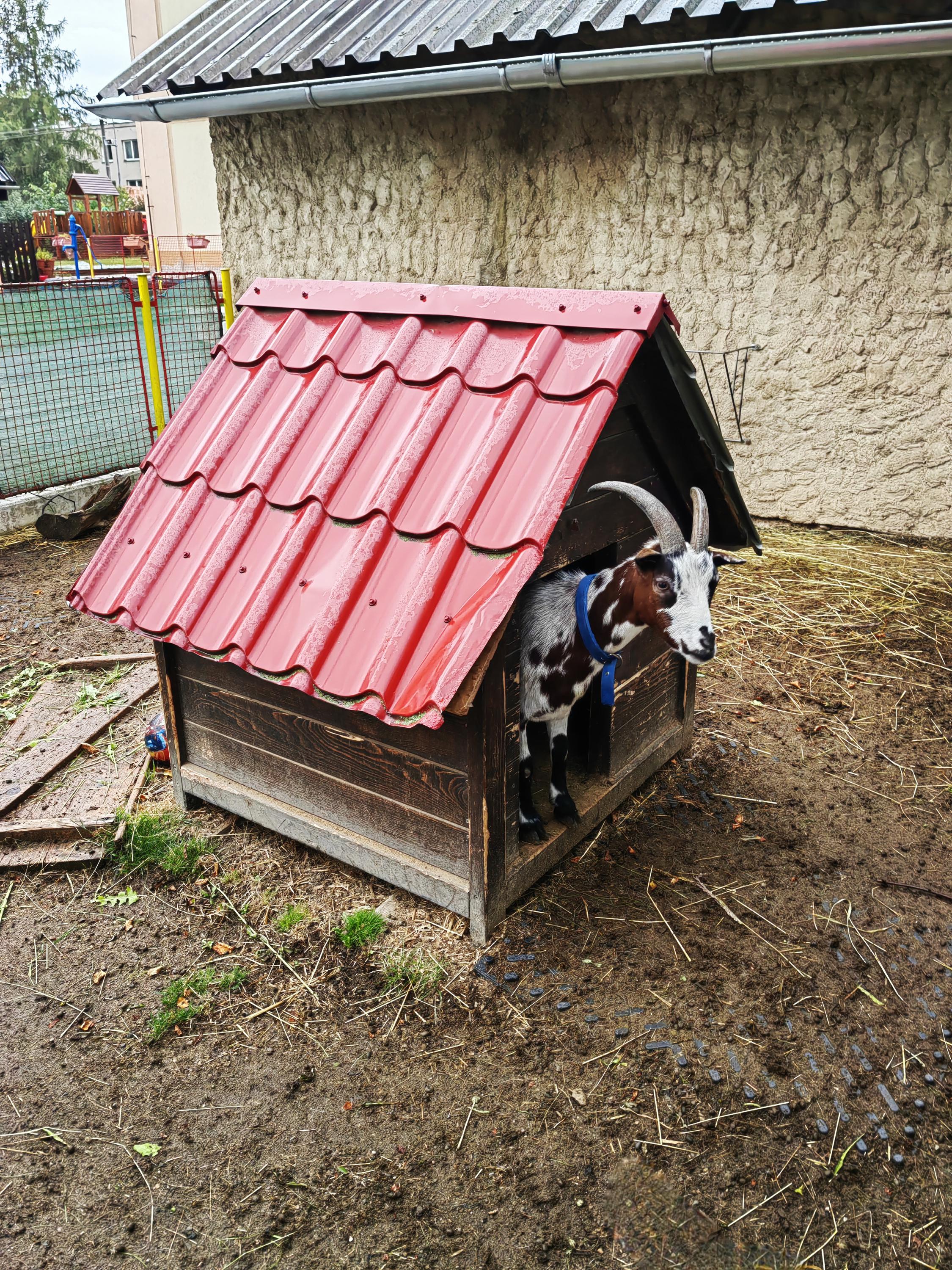 Mateřská škola, Jeníkovice foto 4