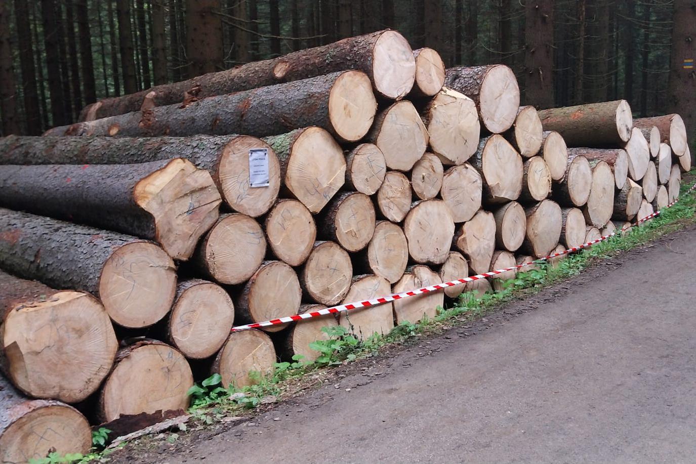 Palivové dřevo Nymburk