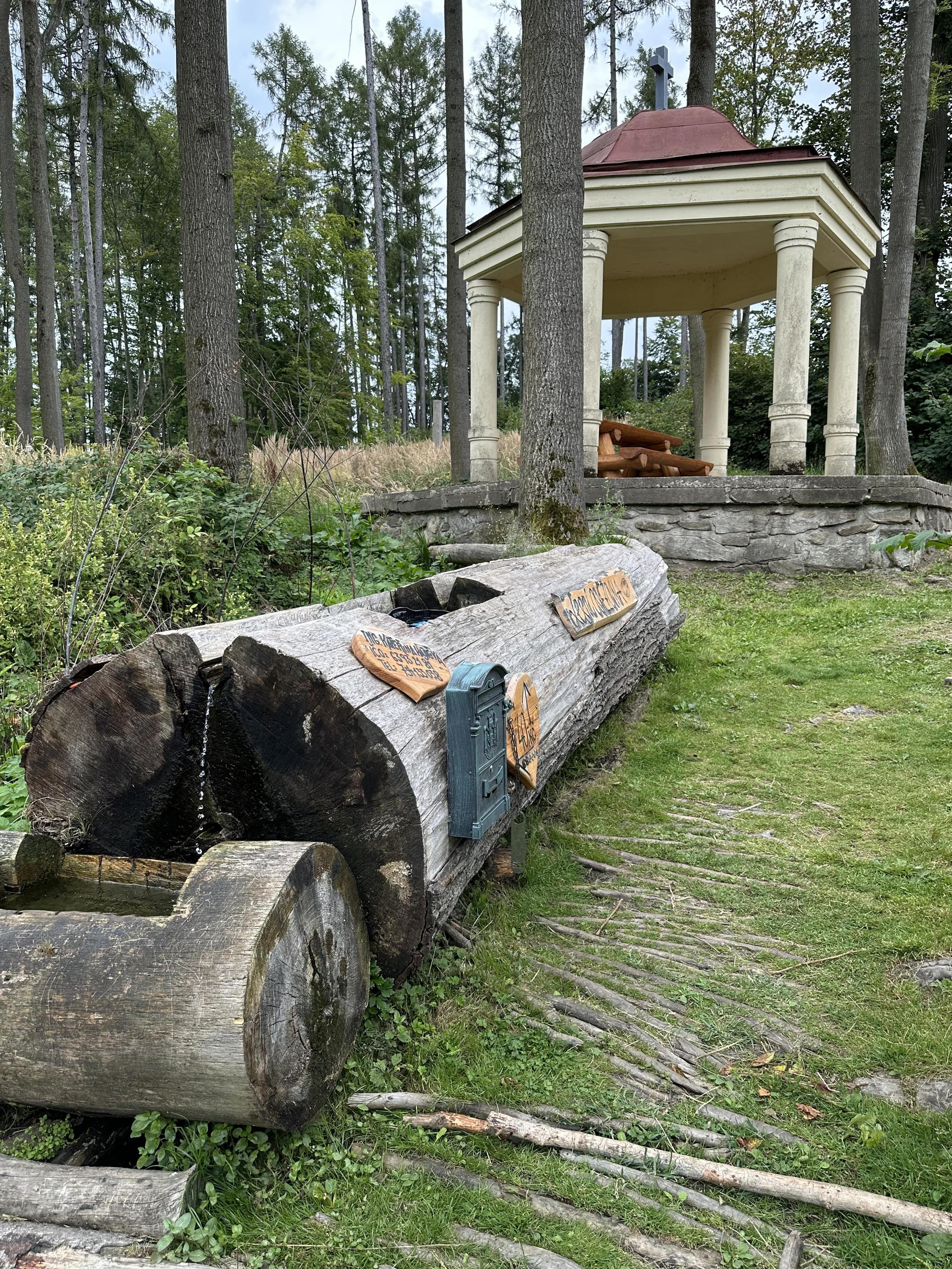 Lesní Osvěžovna foto 2