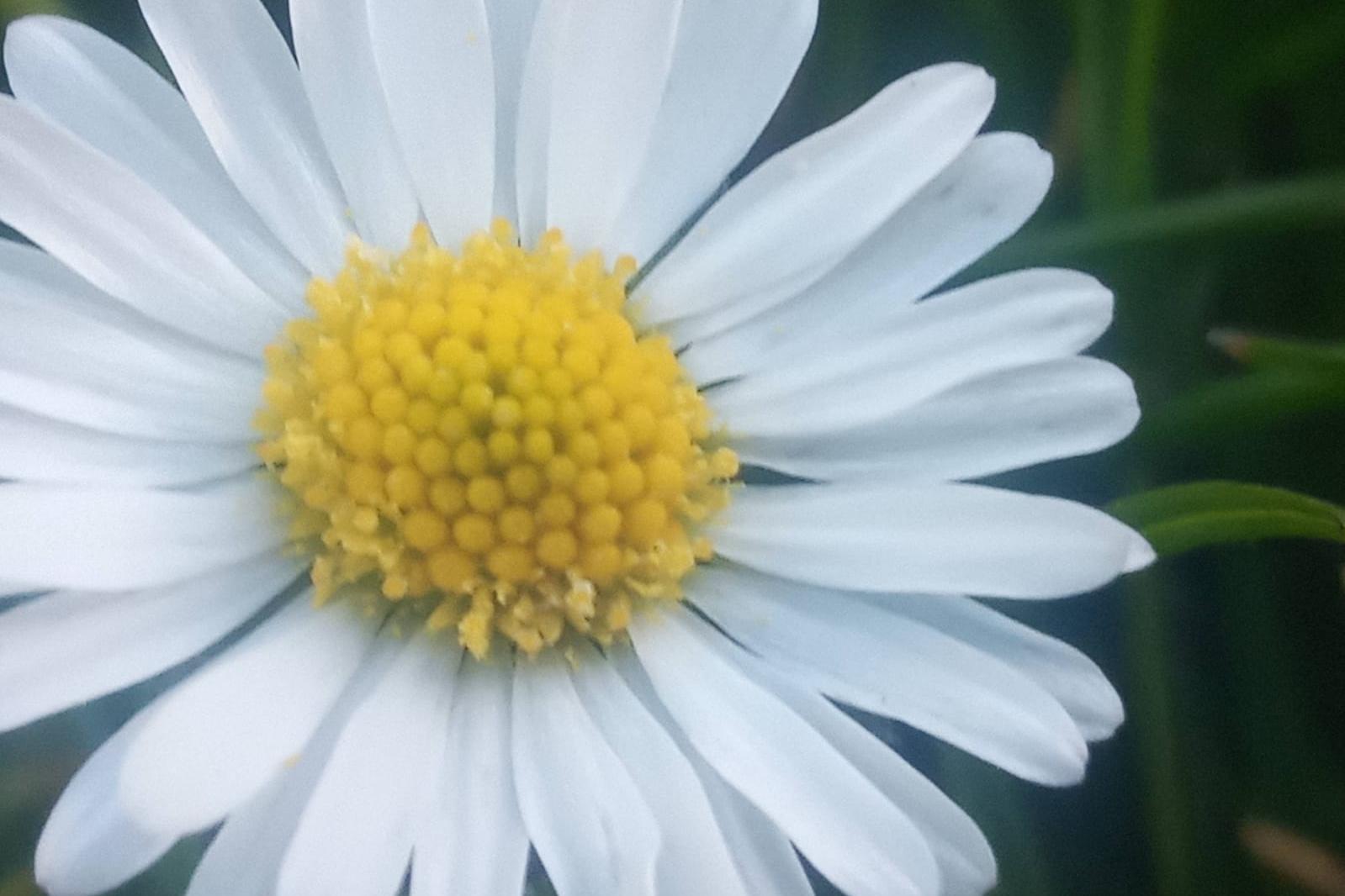 Bio kadeřnictví Chudobka foto 1