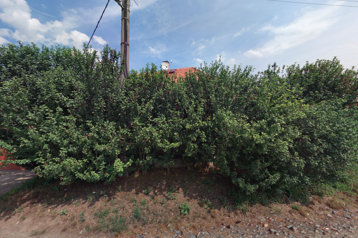 Aleš Rychlovský - profesionální předseda SVJ