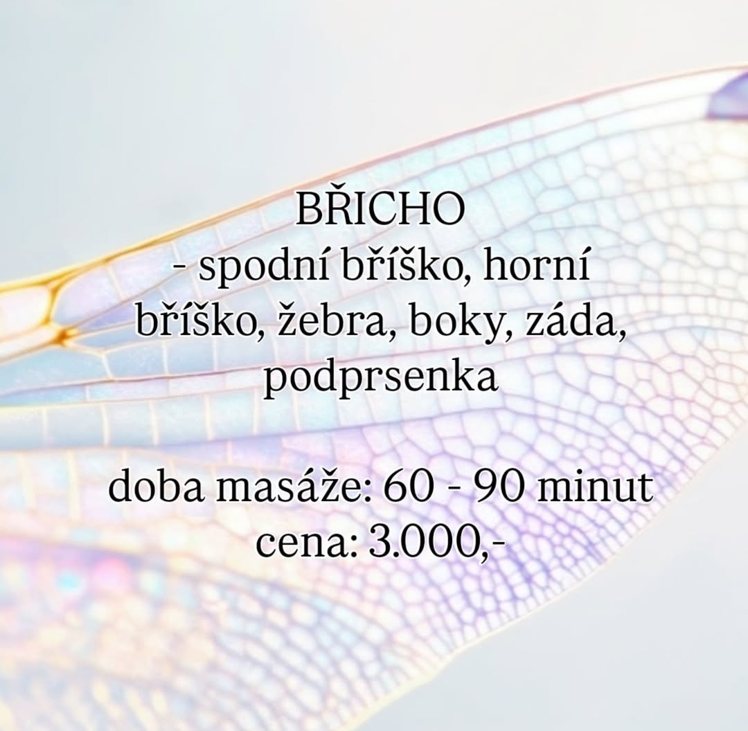 Elilien beauty - Lymfomodeling a maderoterapie foto 6