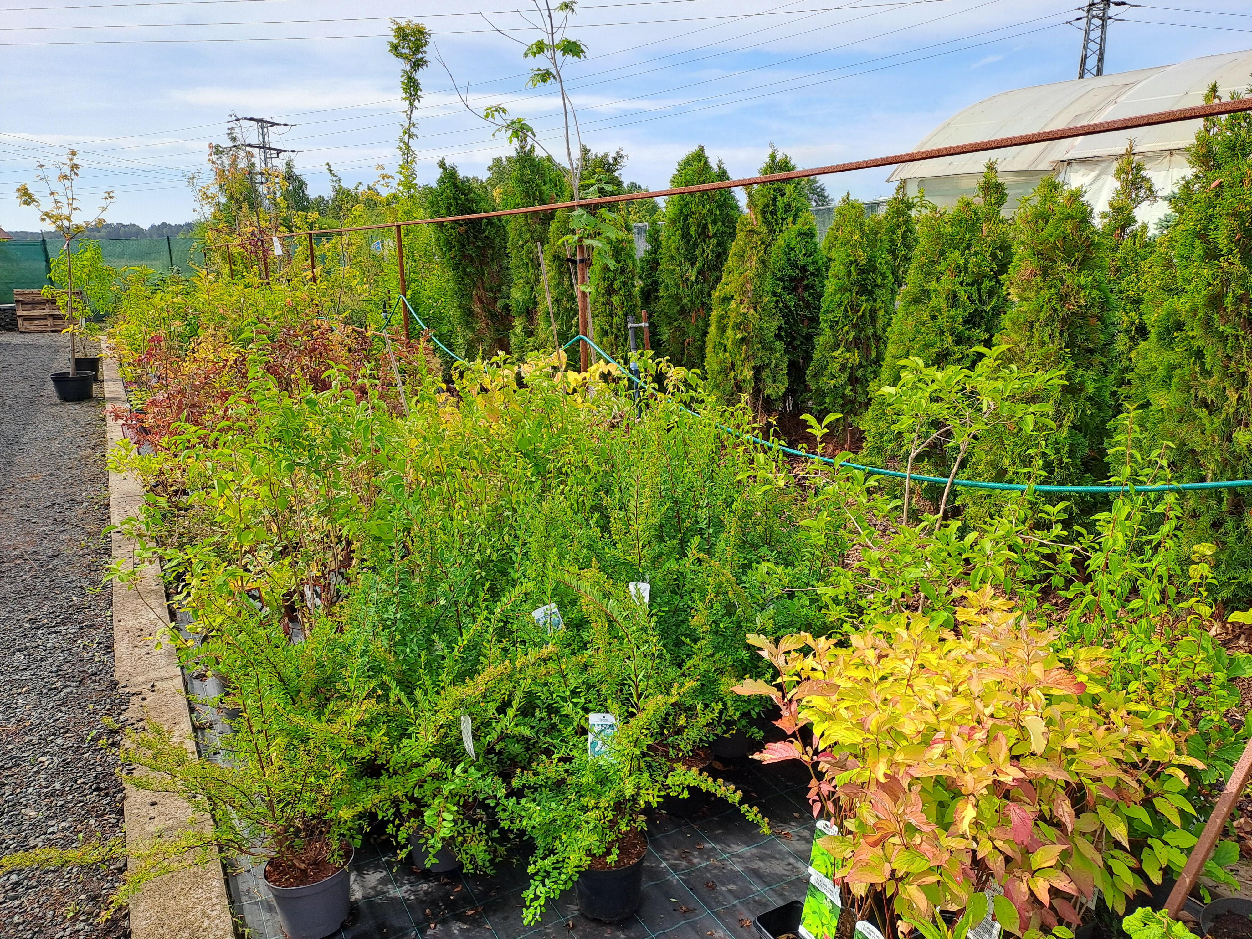 Zahradní a parková, spol. s r.o. foto 1