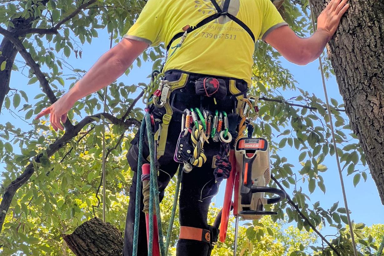 Arboristika | Péče o stromy Ondřej Trlica