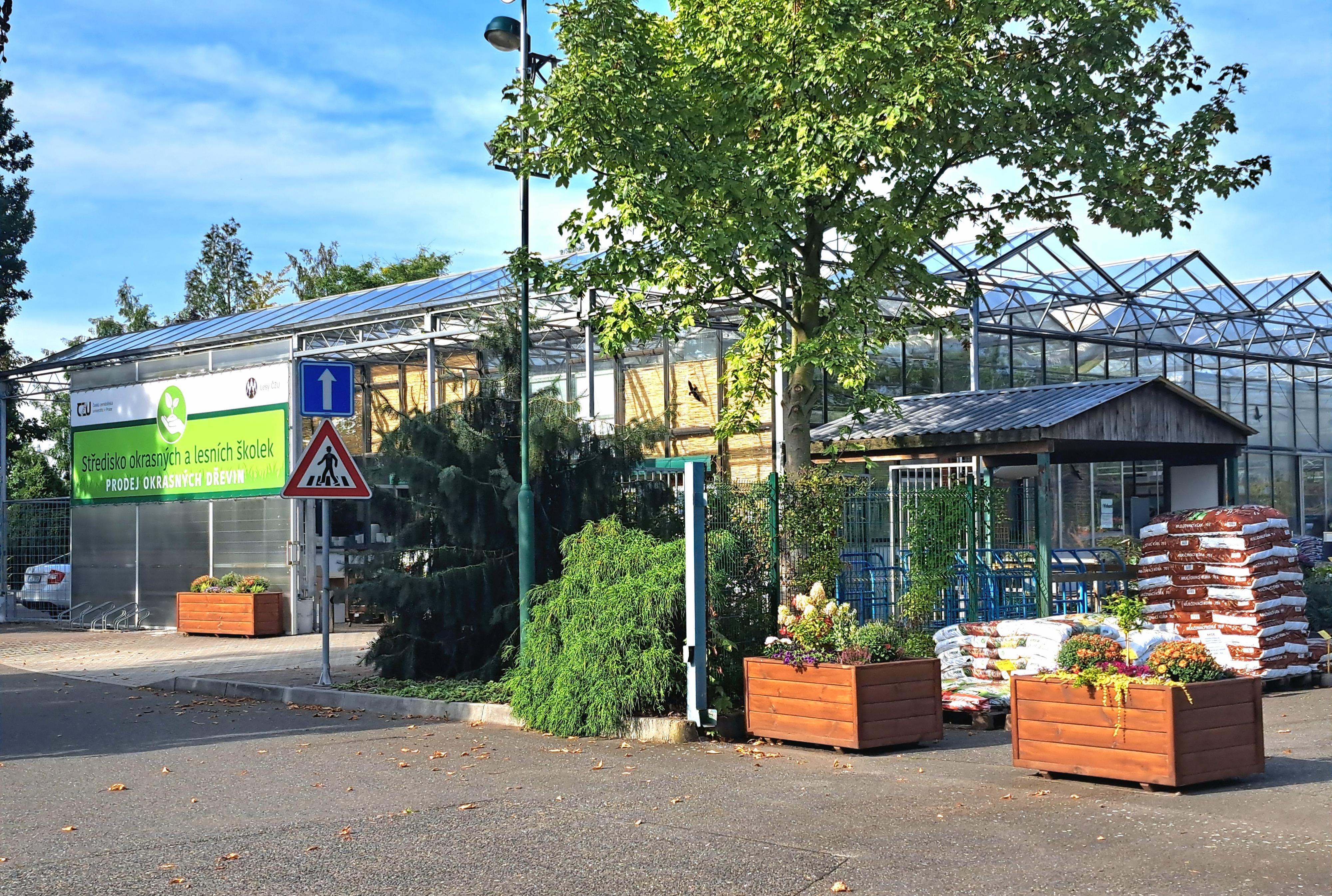 Lesy ČZU - Středisko okrasných a lesních školek foto 2