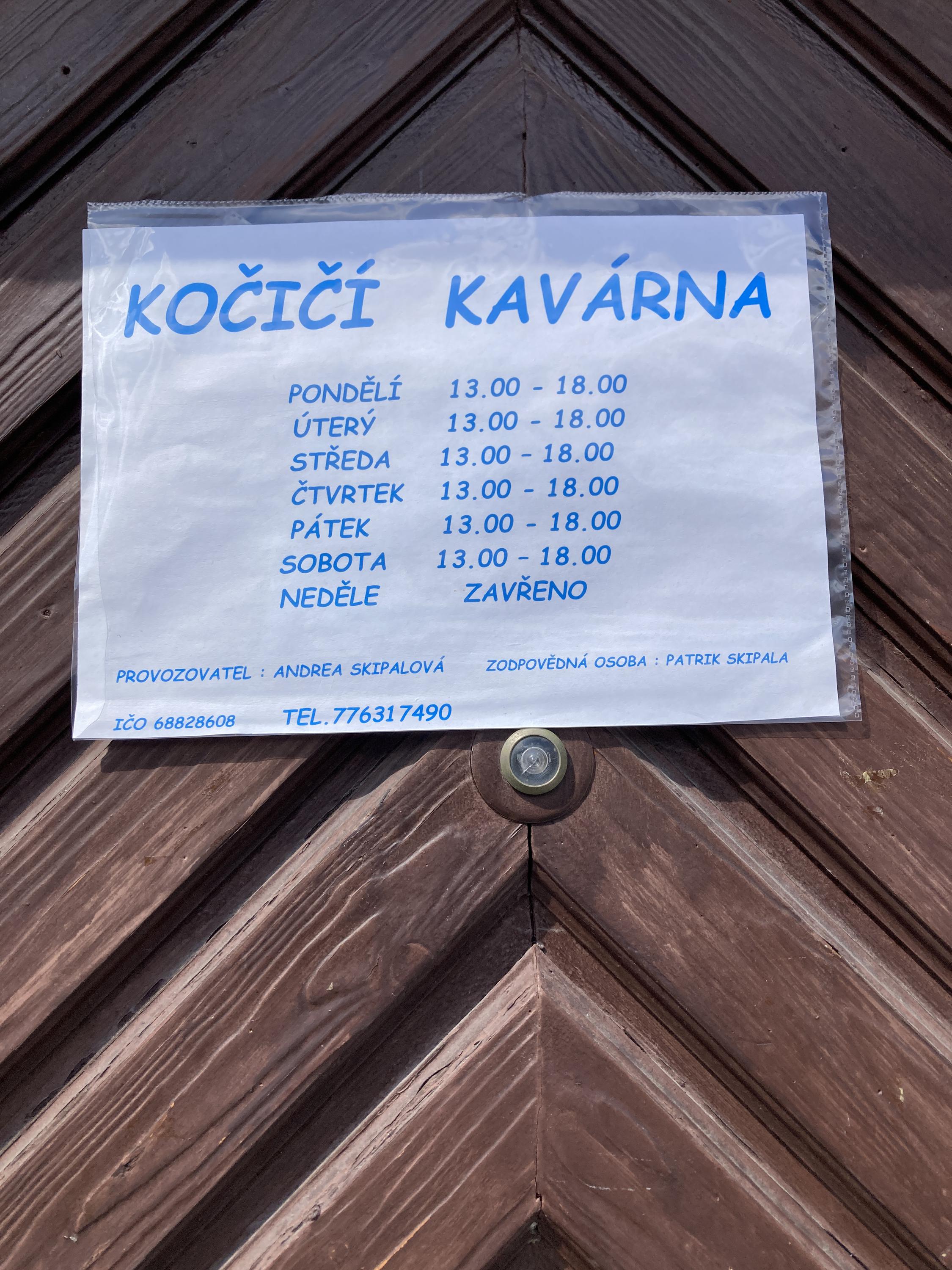 Kočičí kavárna u řeky foto 2