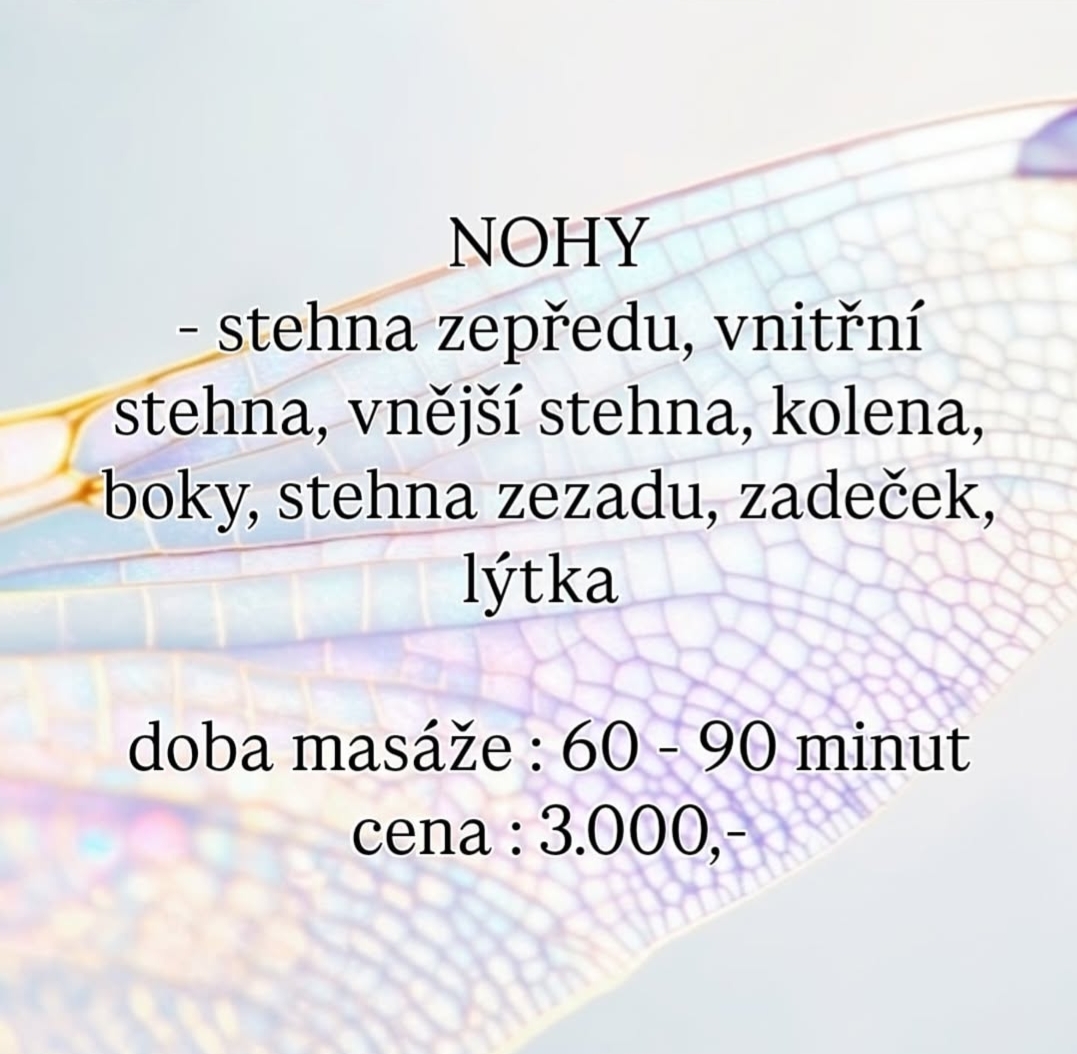 Elilien beauty - Lymfomodeling a maderoterapie foto 5