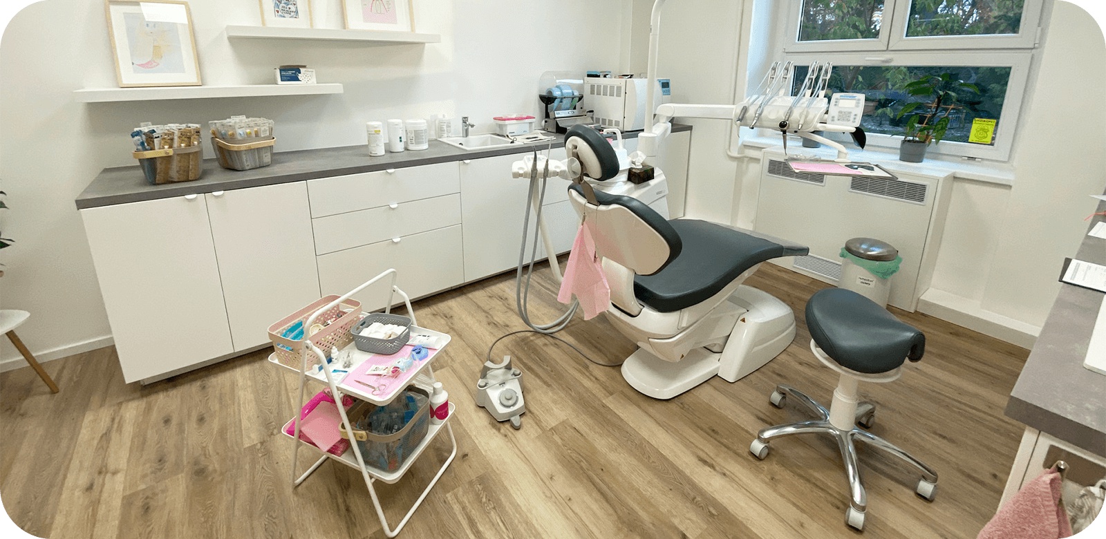 Dentální hygiena Bc. Ladislava Gross