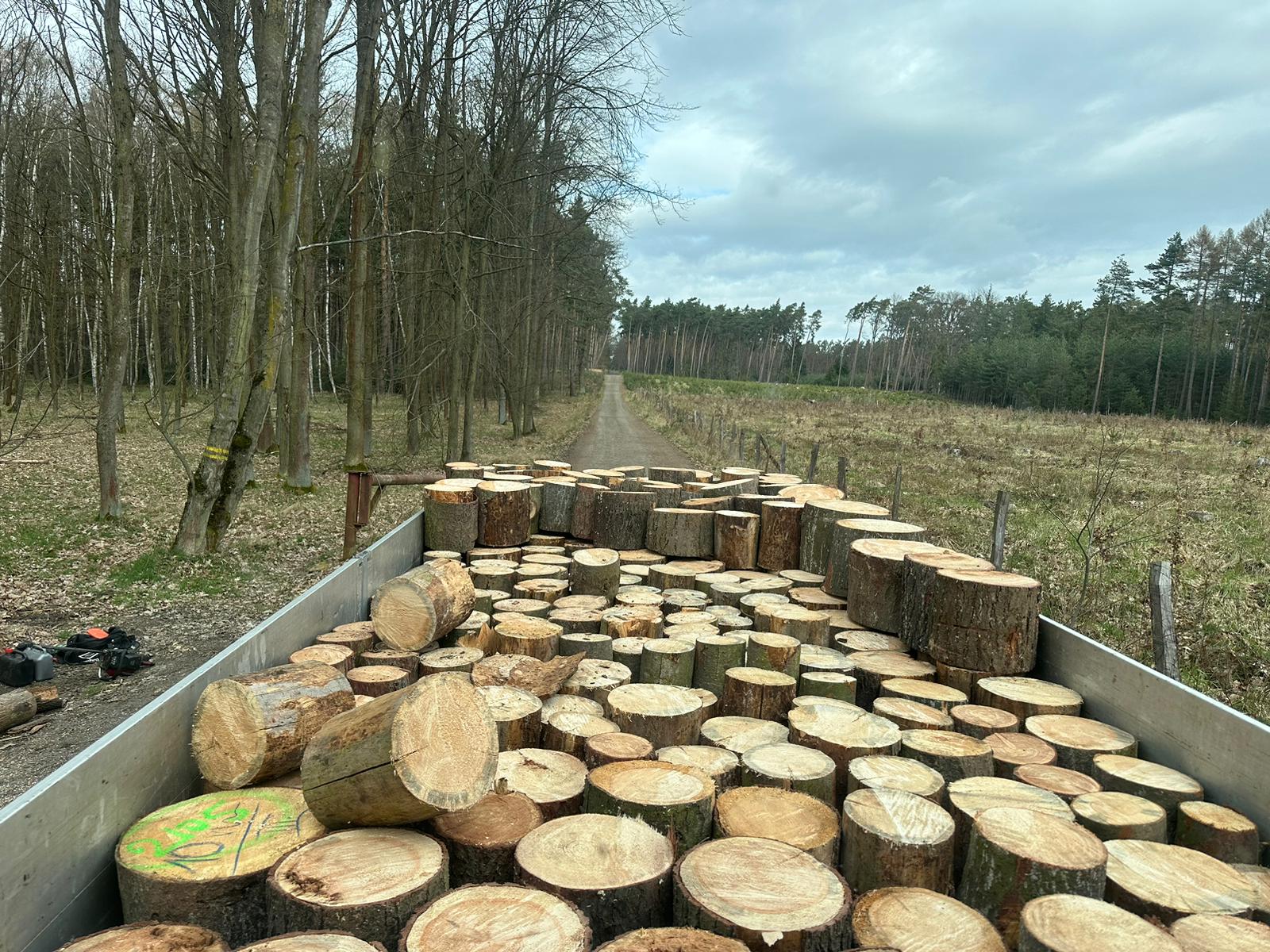 Palivové dřevo Nymburk foto 3