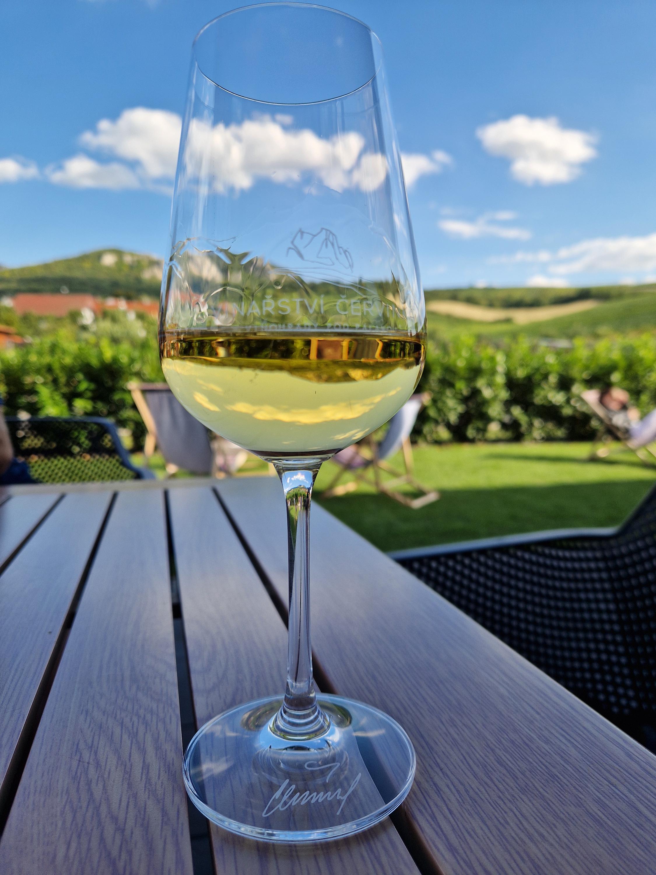 Vinotéka a wine bar Vinařství Červinka foto 6