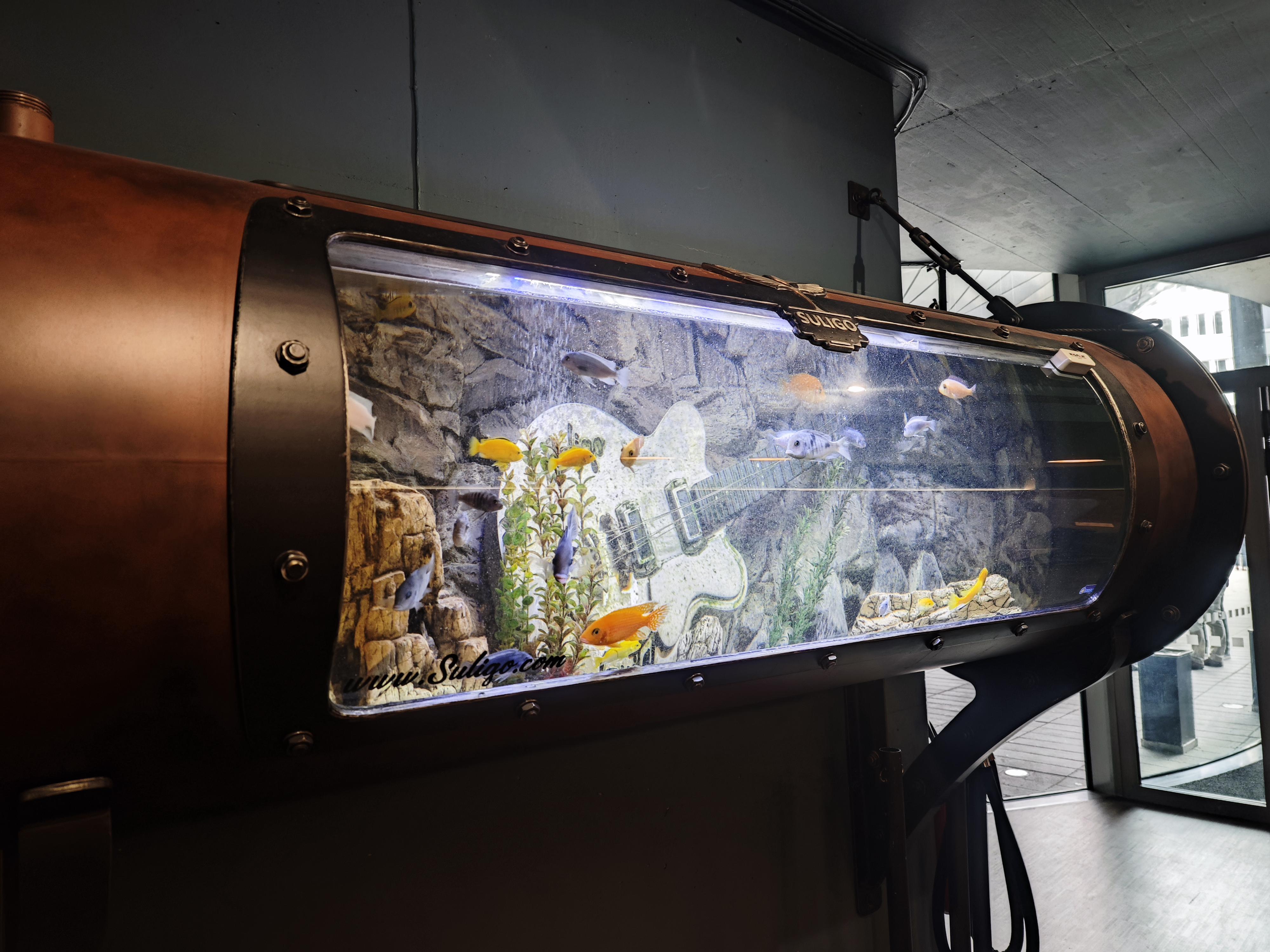 SONO Grill & Bar foto 5