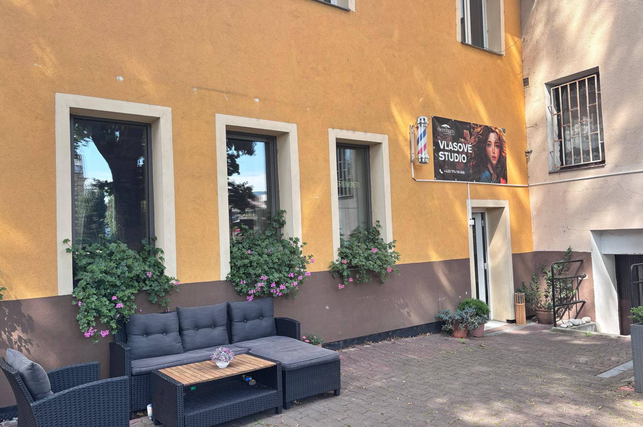 Serengeti Vlasové studio