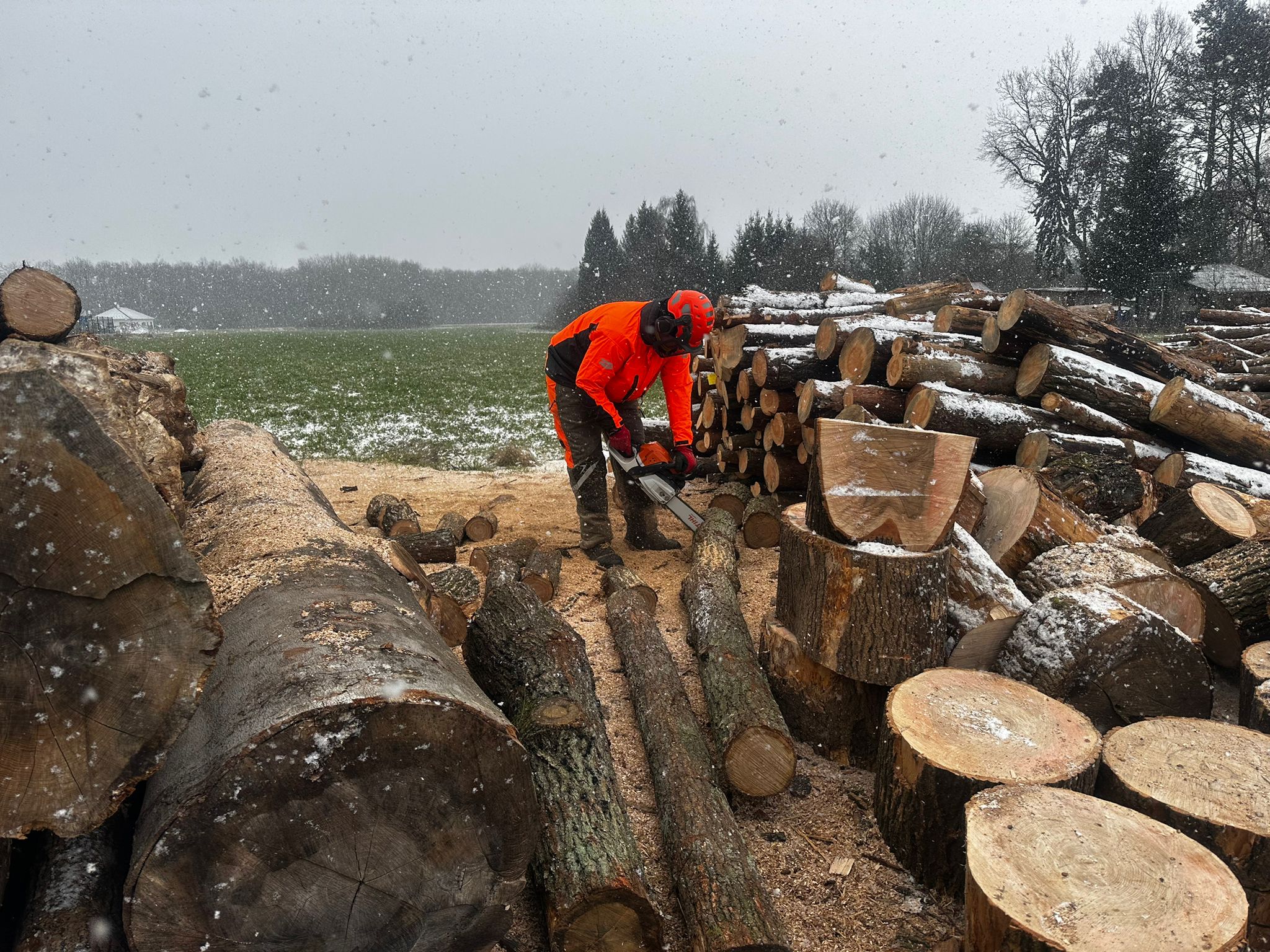 Palivové dřevo Nymburk foto 3